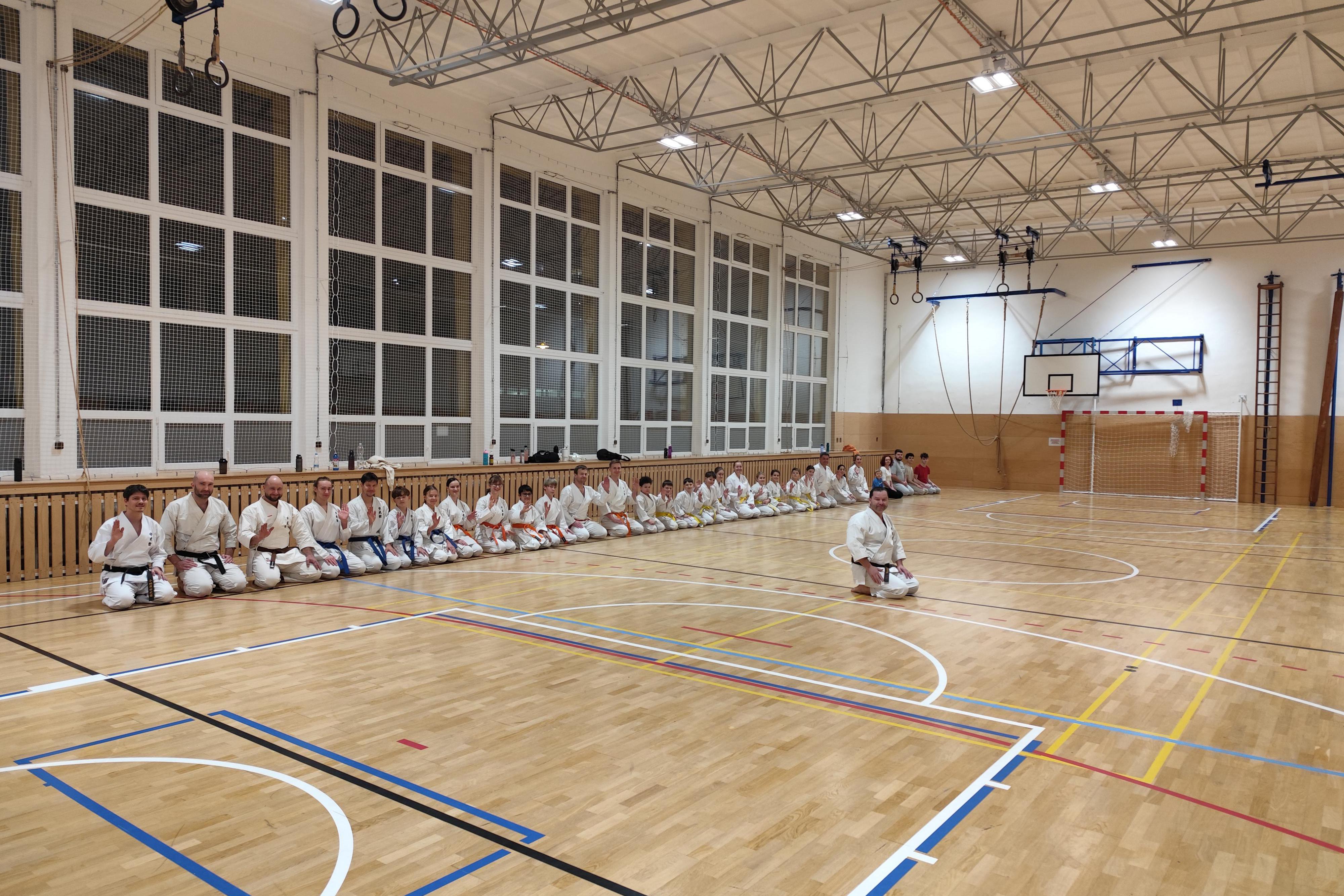 Novoroční předsevzetí !!!