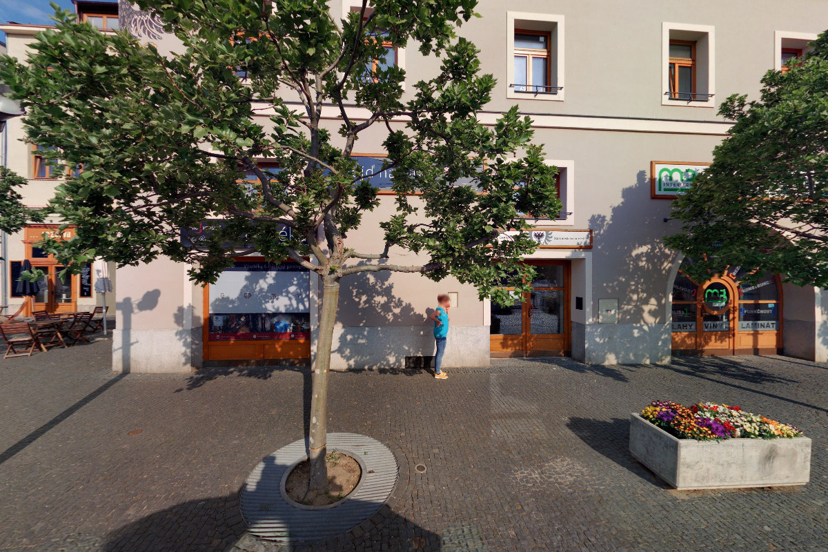 Ing. Pavla Sýkorová Michalíková - Meeschap foto 5