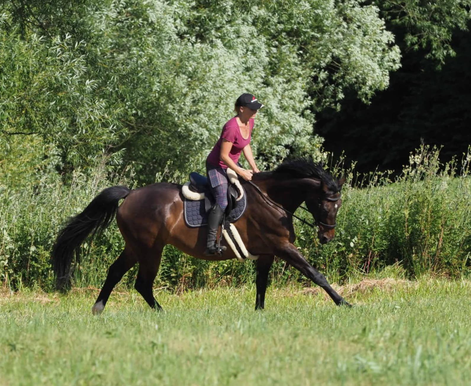 Jezdecká stáj Podstráň foto 2