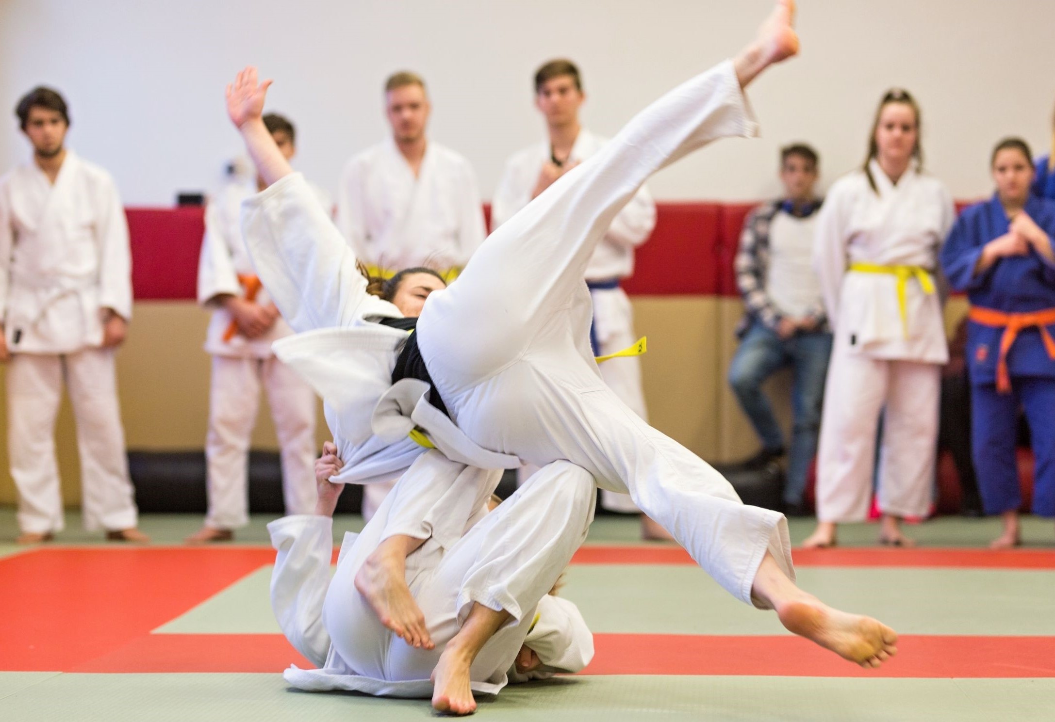 Bezpečnostně právní akademie Ostrava, s. r. o., střední škola foto 2