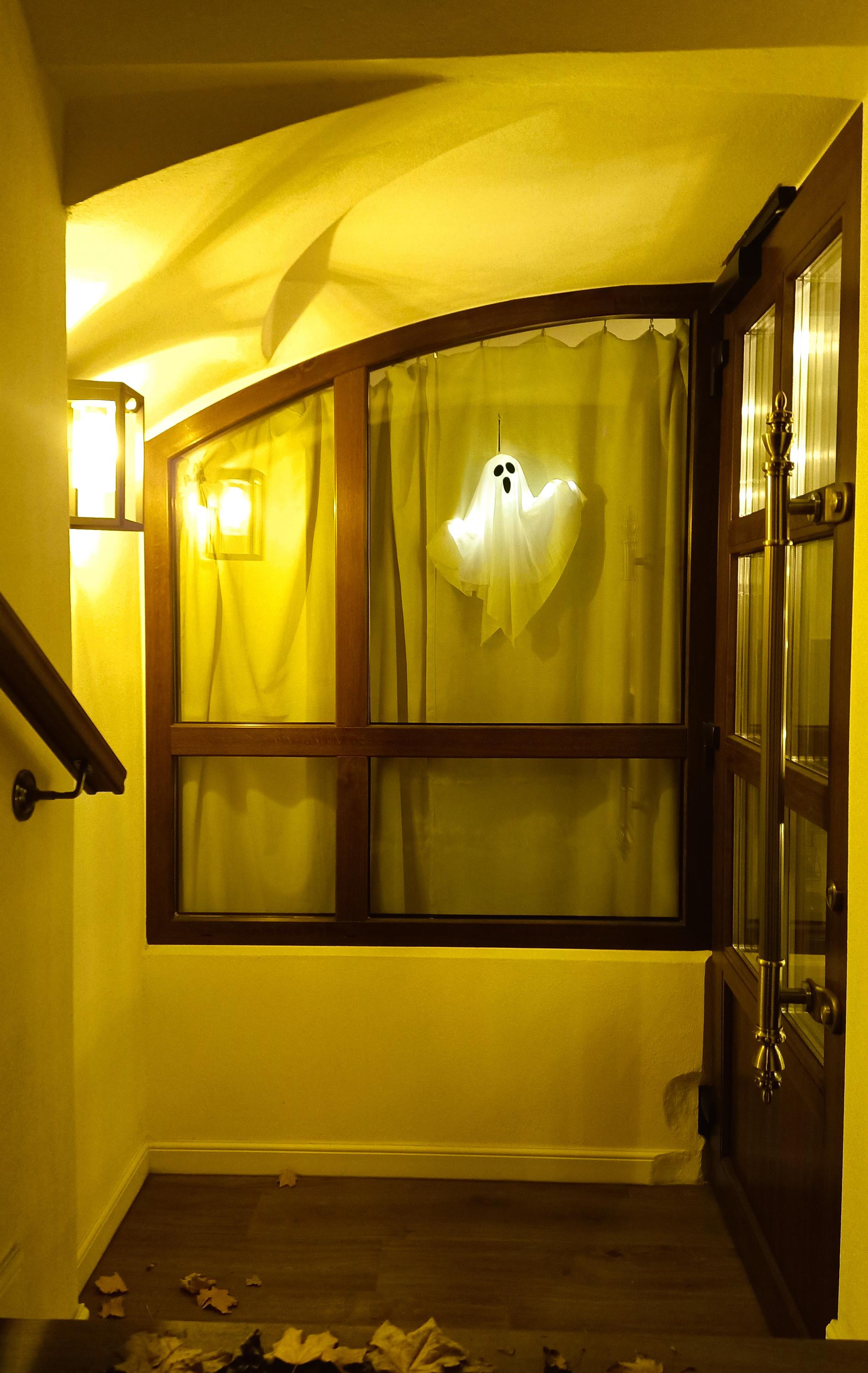 Jazyková škola Narro foto 2