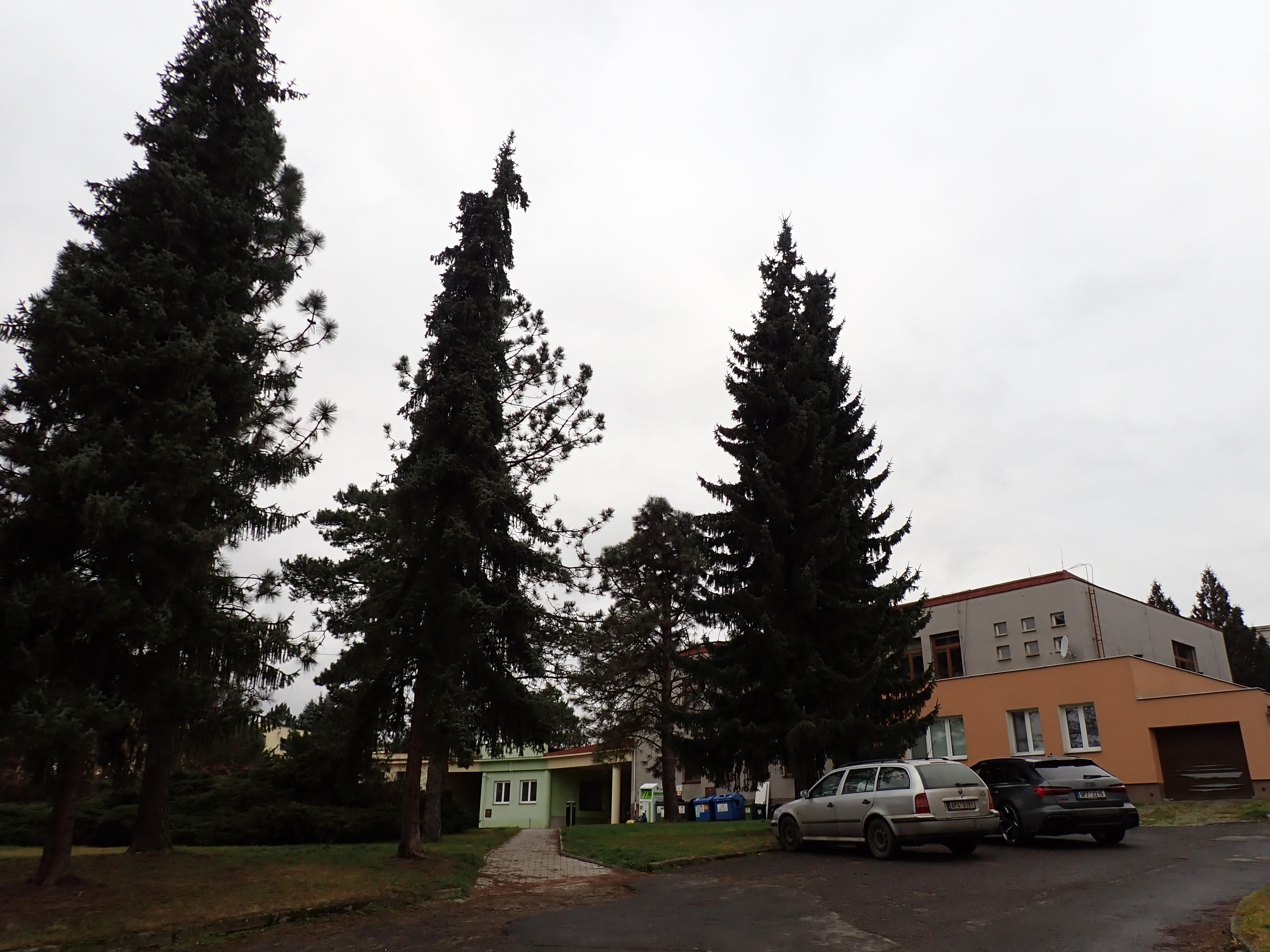 Nezvěstice - obecní úřad foto 3