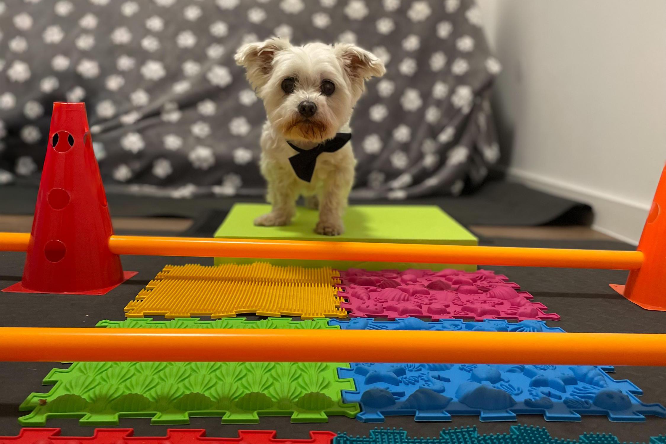 Fyzio Marley - Mgr. Petra Jiříčková