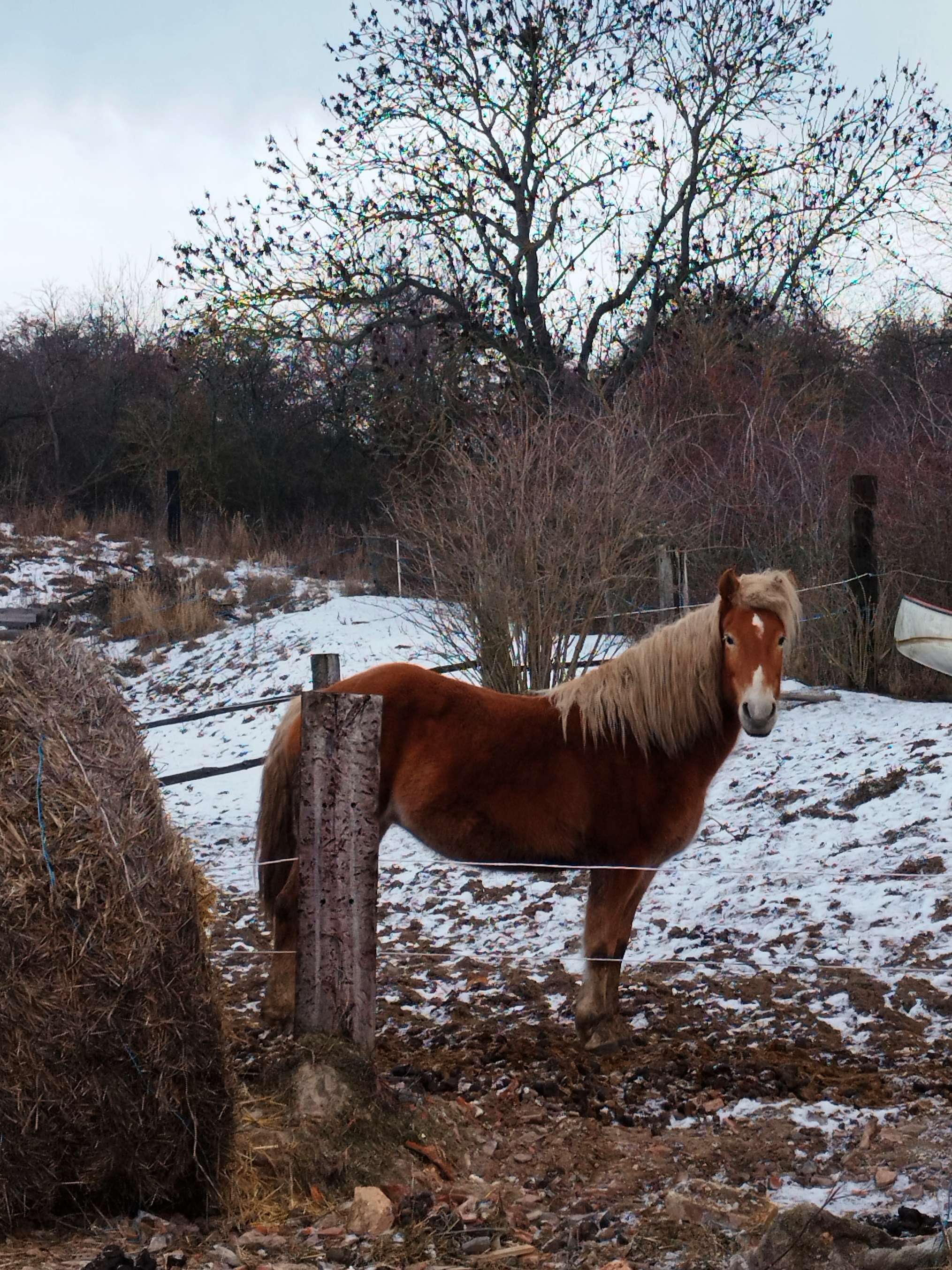 Ranč Kozí vrch foto 6
