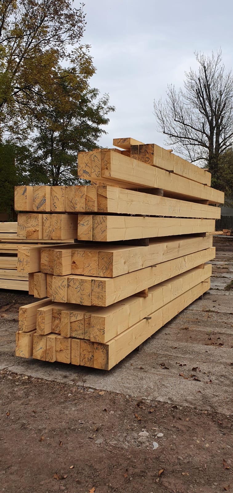 Pila Dunajovice Hels  s.r.o foto 3