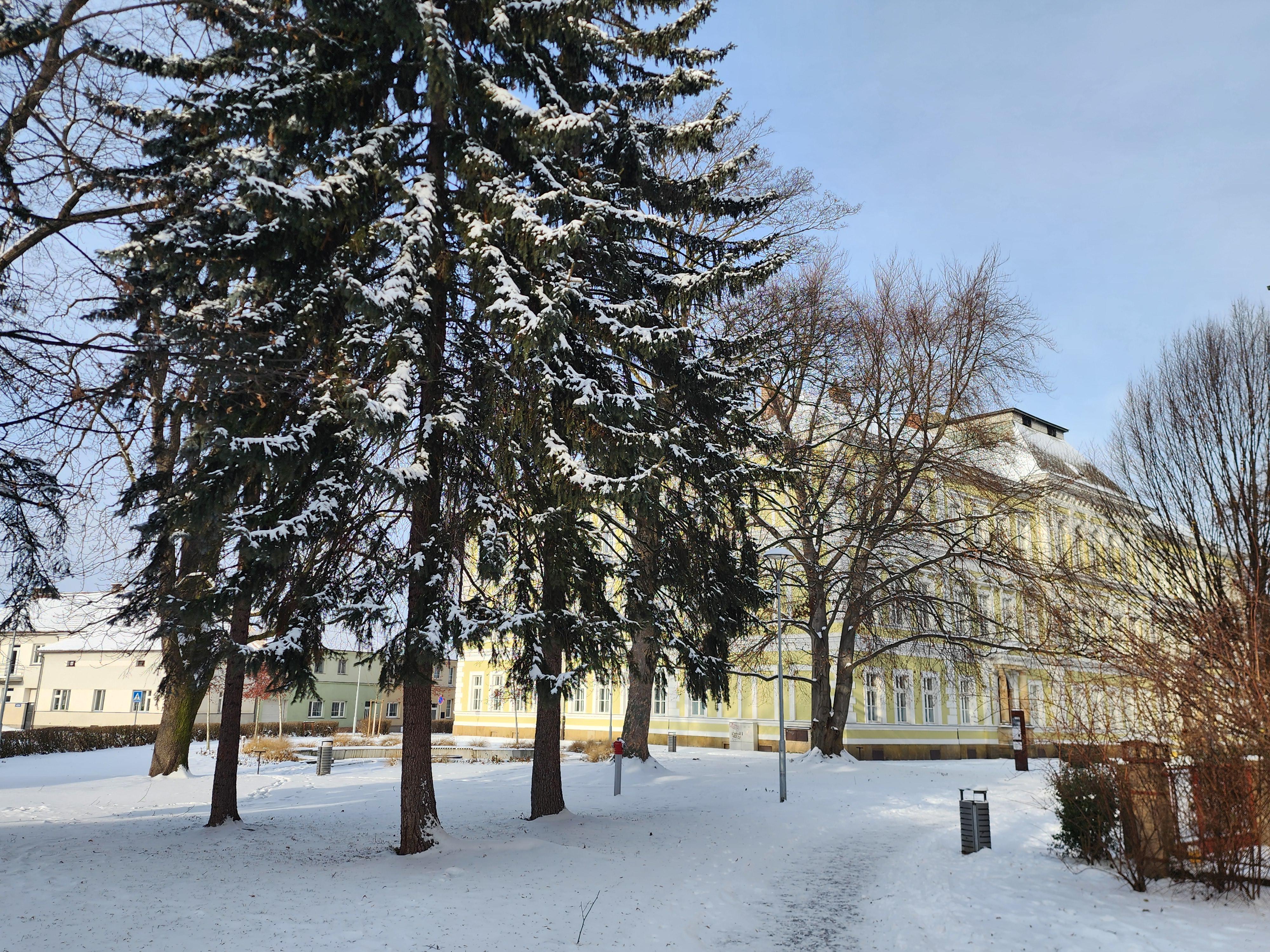 Gymnázium Vysoké Mýto foto 3