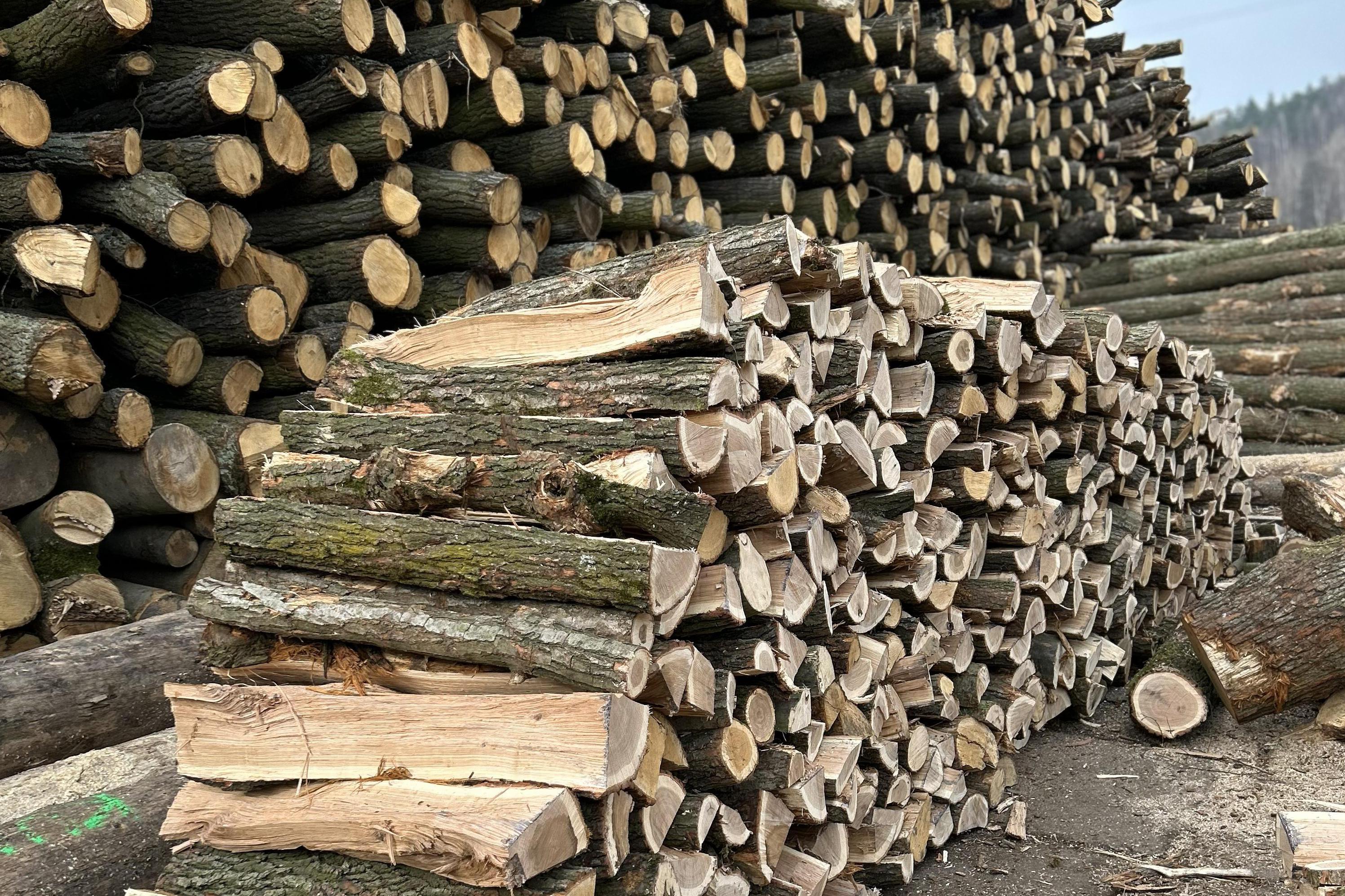 PALIVOVÉ DŘEVO ROVNANÉ V METROVÝCH ŠTĚPECH