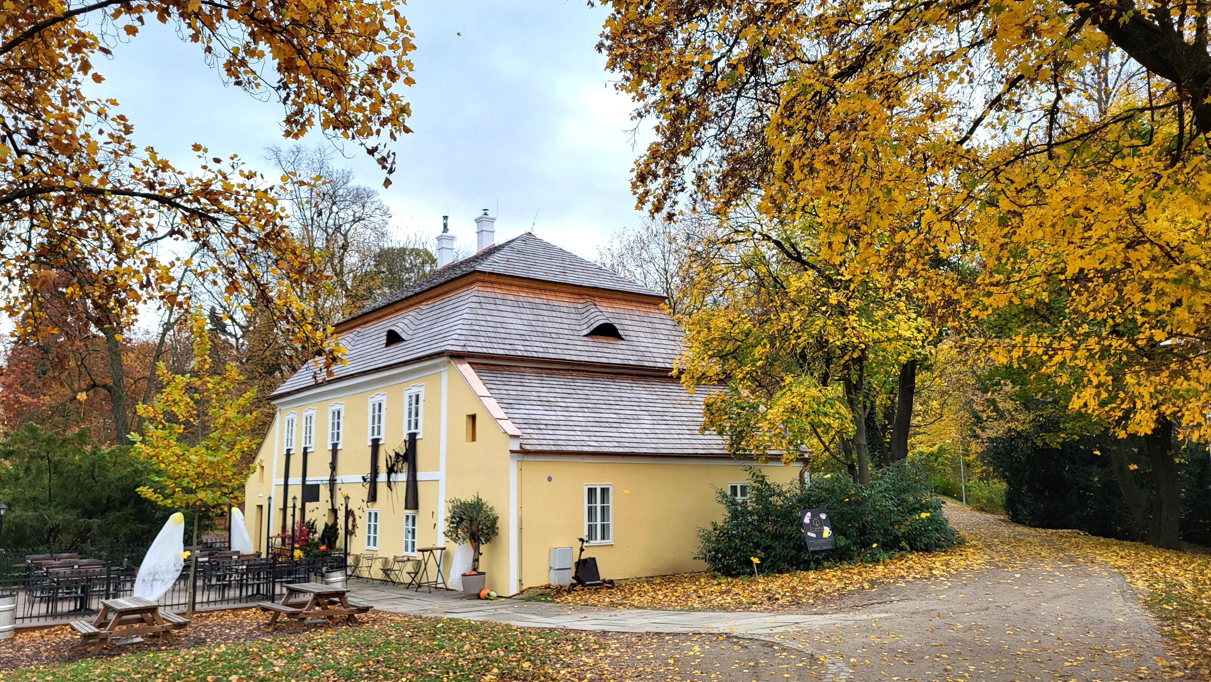 V parku foto 2