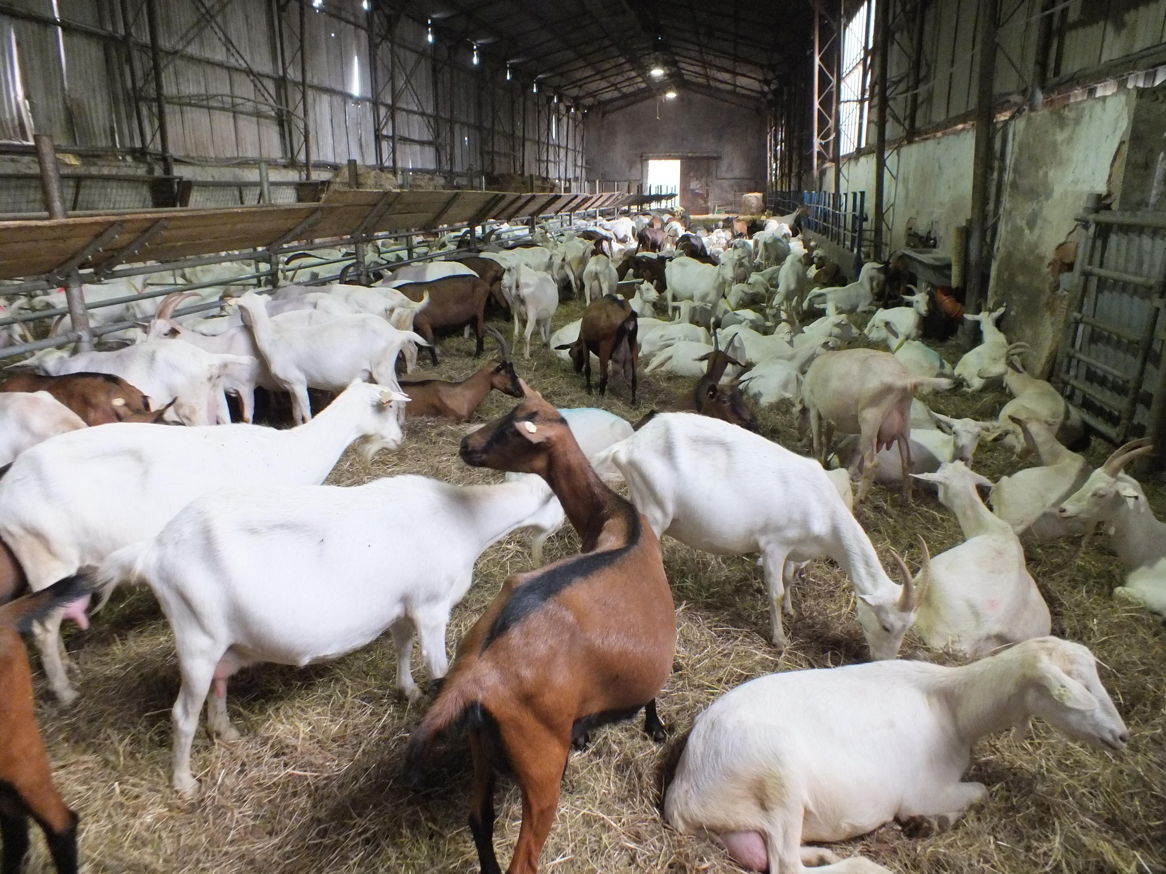 Zemědělské muzeum Pěnčín