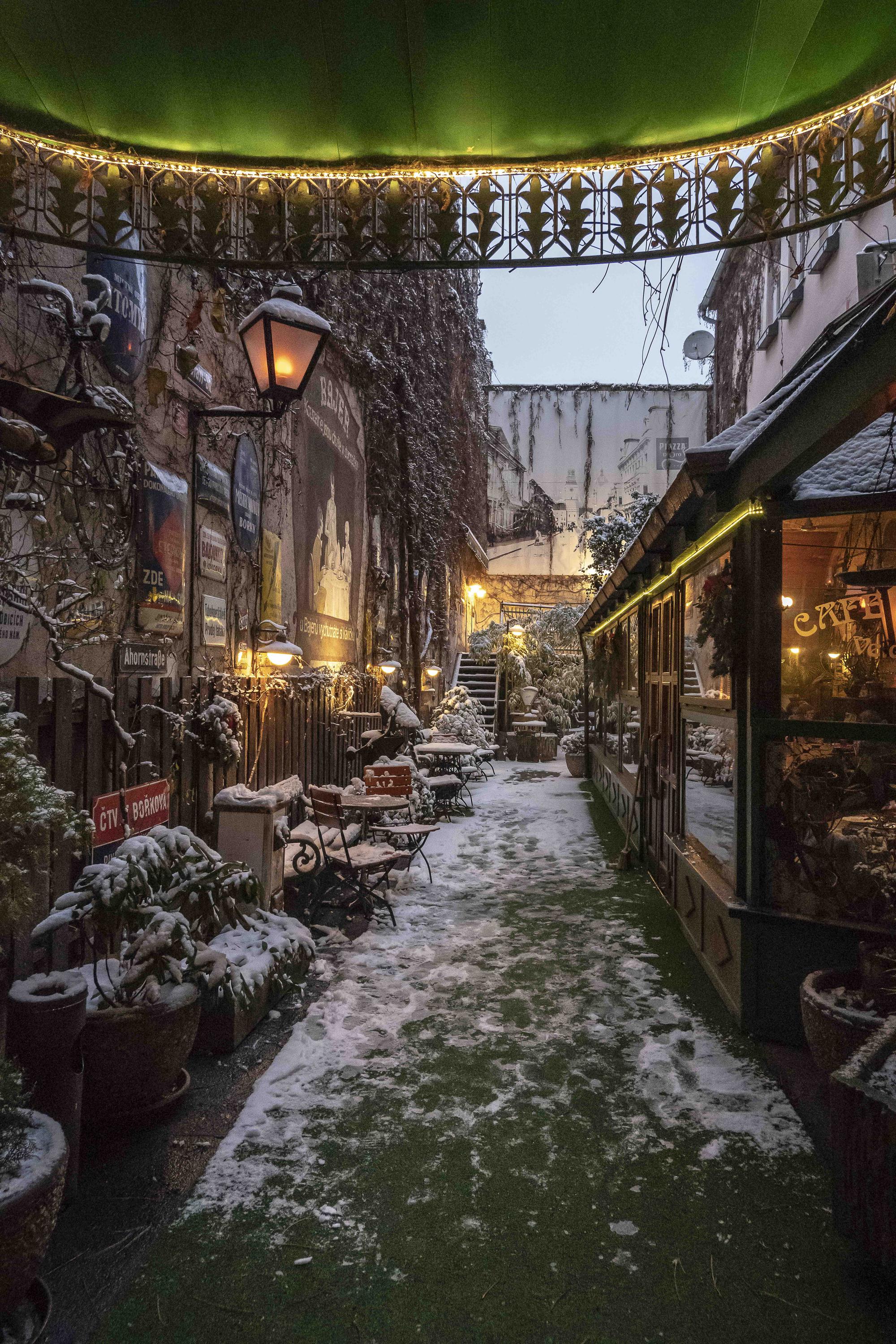Café Bajer foto 3