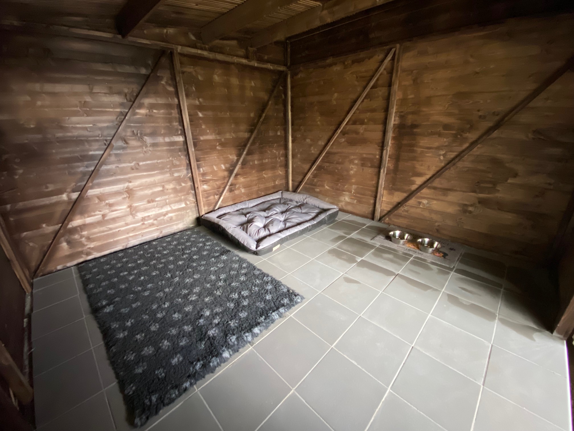 Hlídání a výcvik psů Kristýna Banertová foto 3