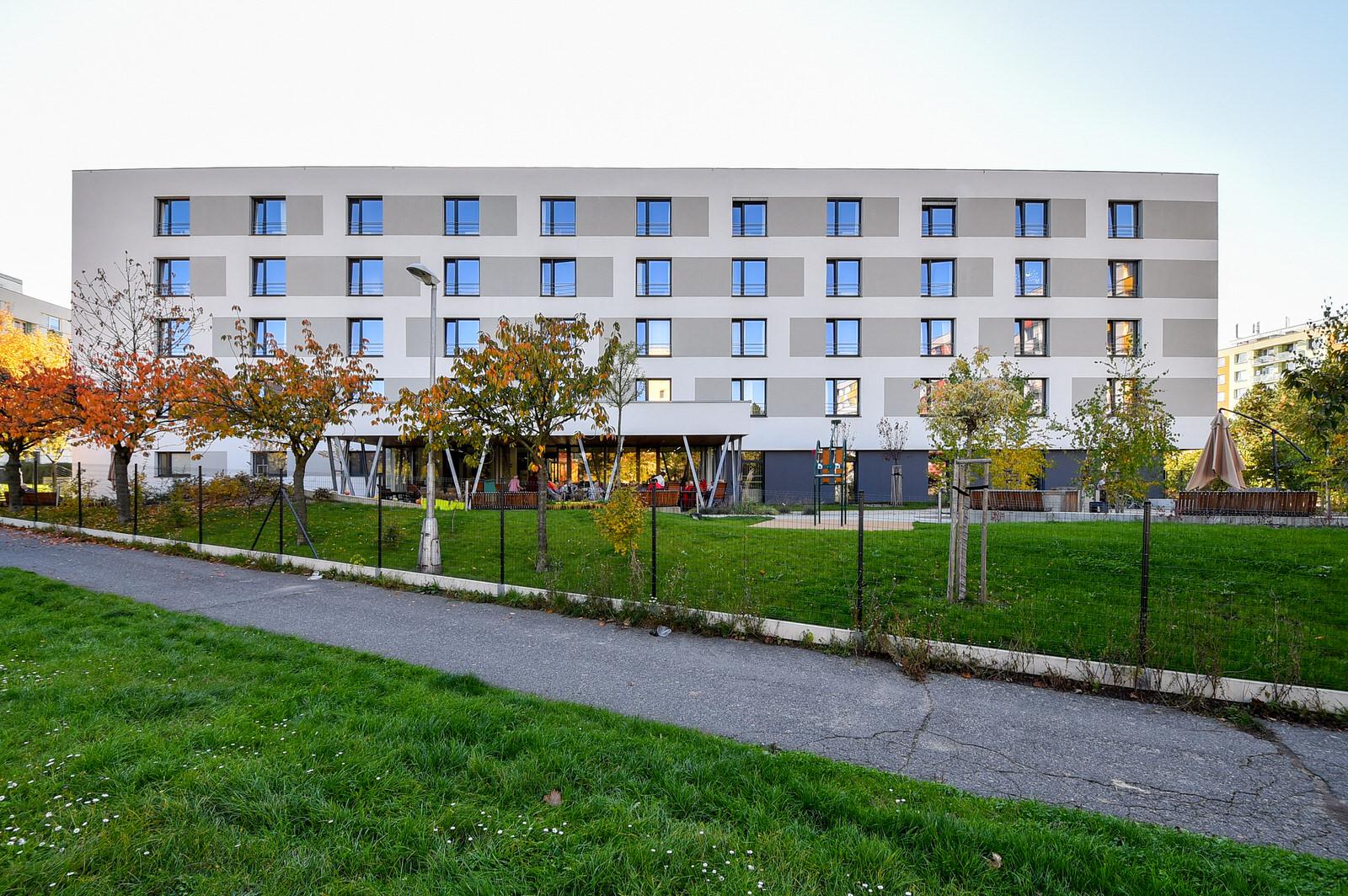 Senevida Hradec Králové