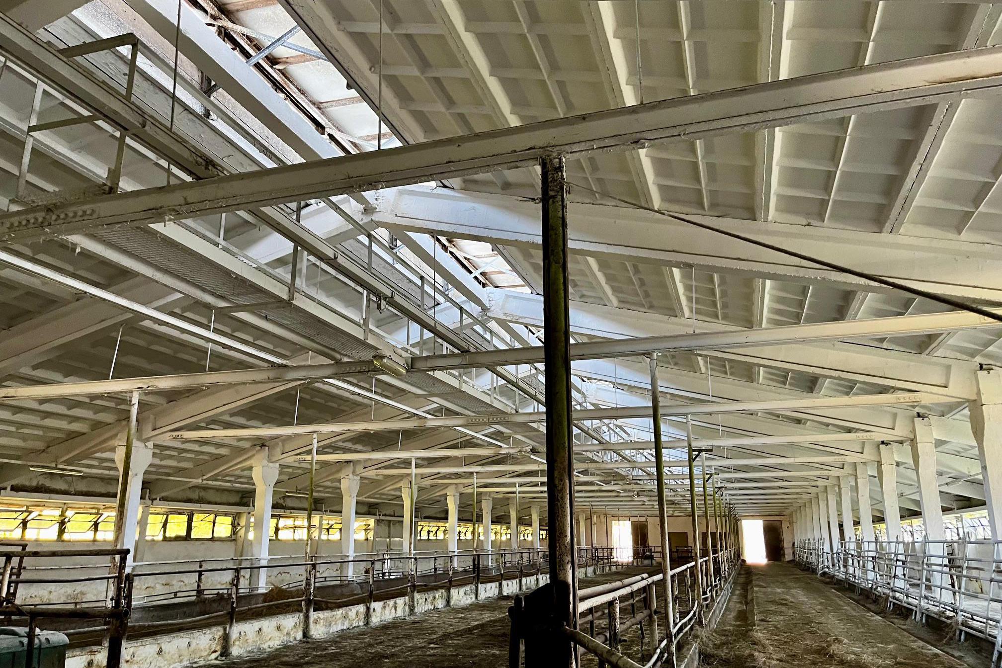 Bílení hašeným vápnem