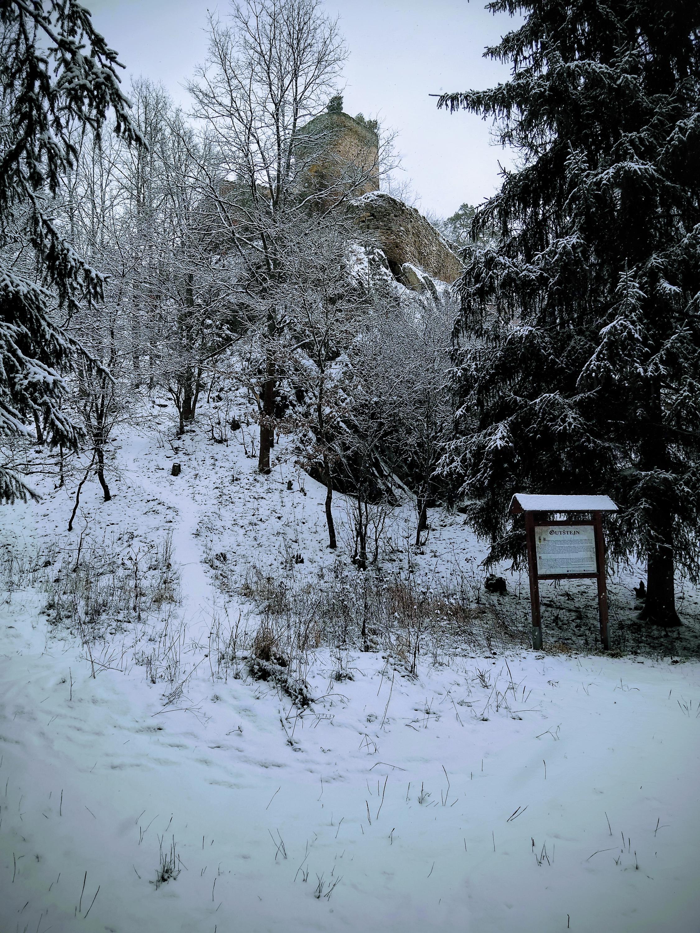 Zřícenina hradu Gutštejn foto 6