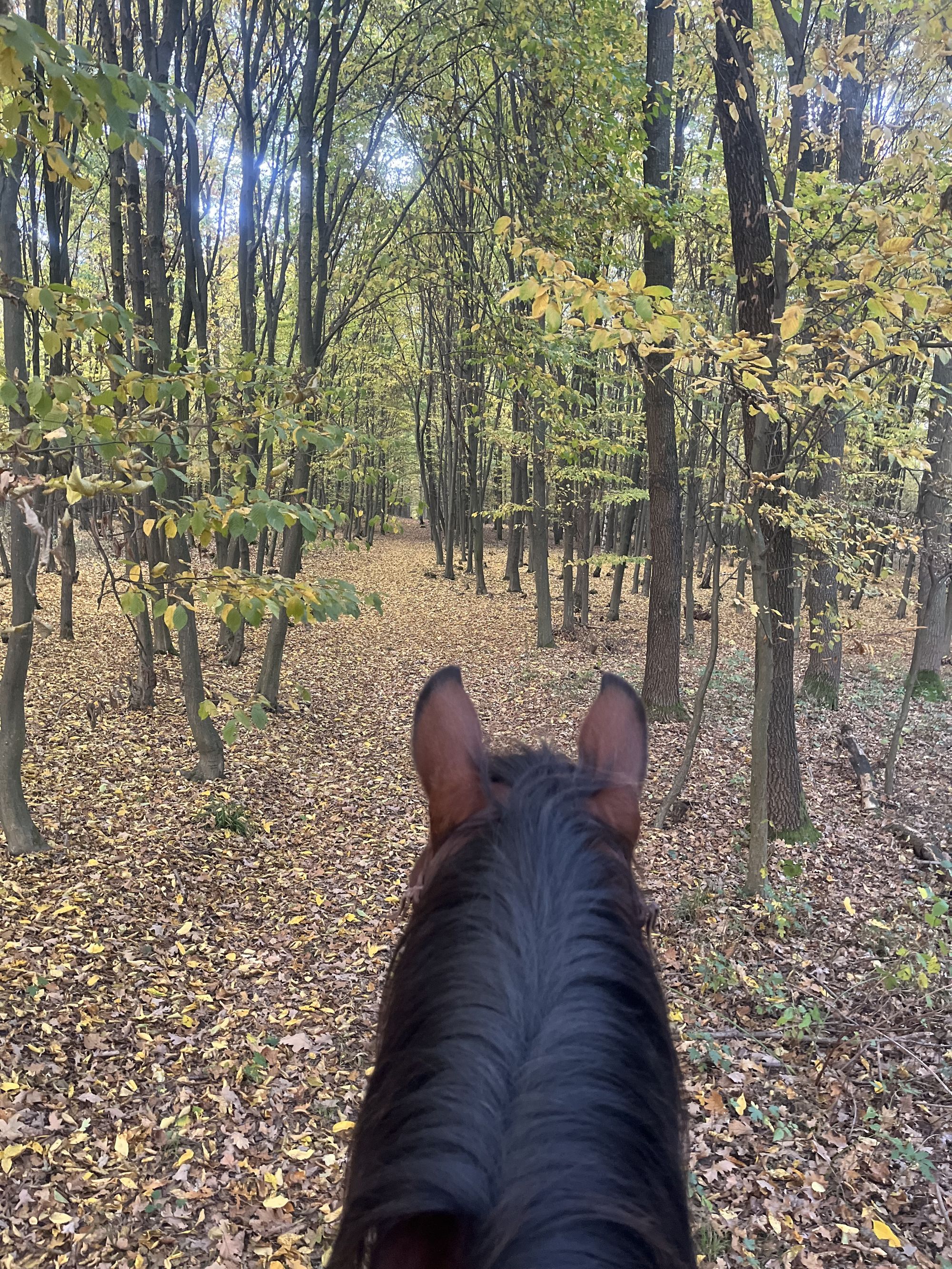 Ranch Stará Voda foto 4