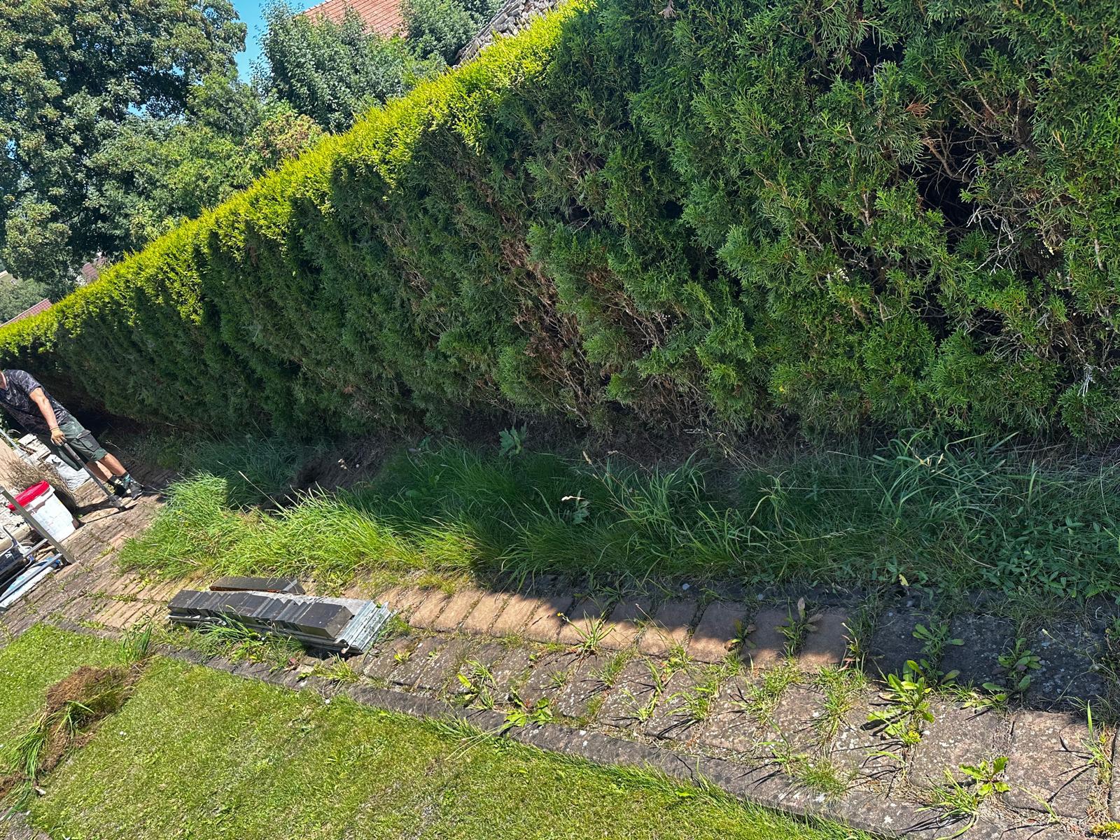 Evelegarden.cz foto 4