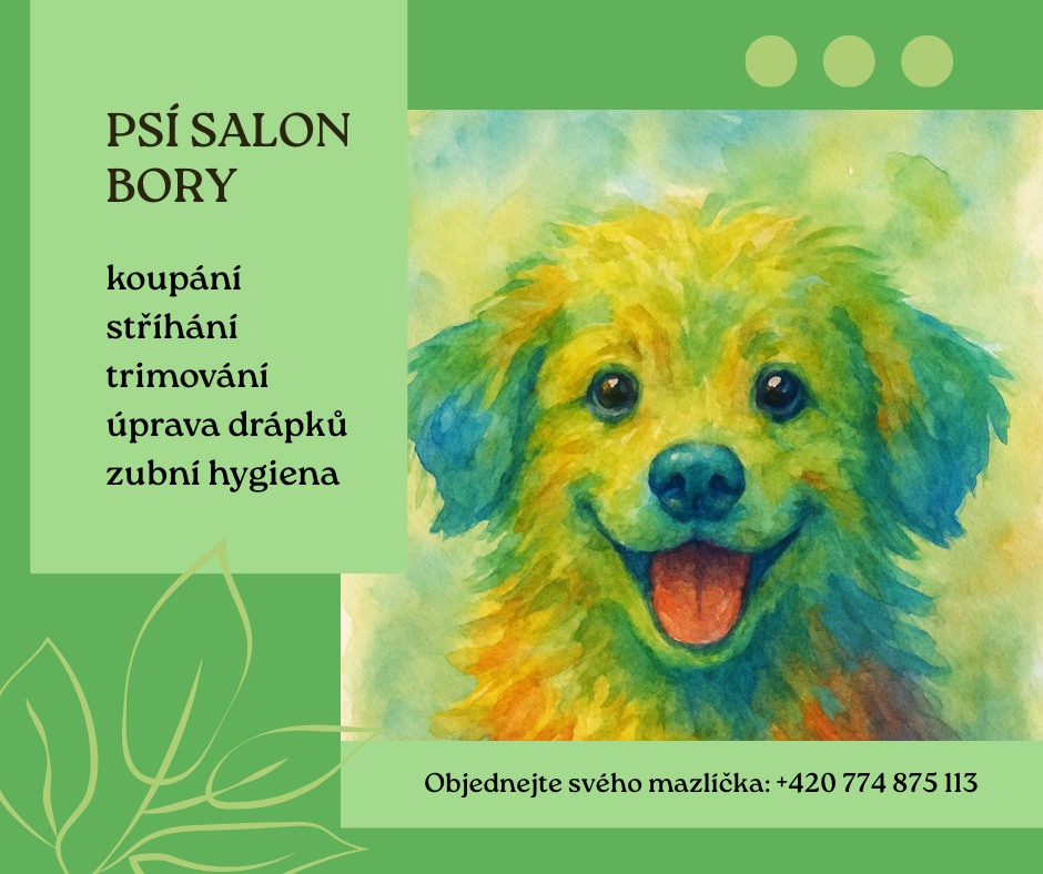 Psí salon na Borech foto 2