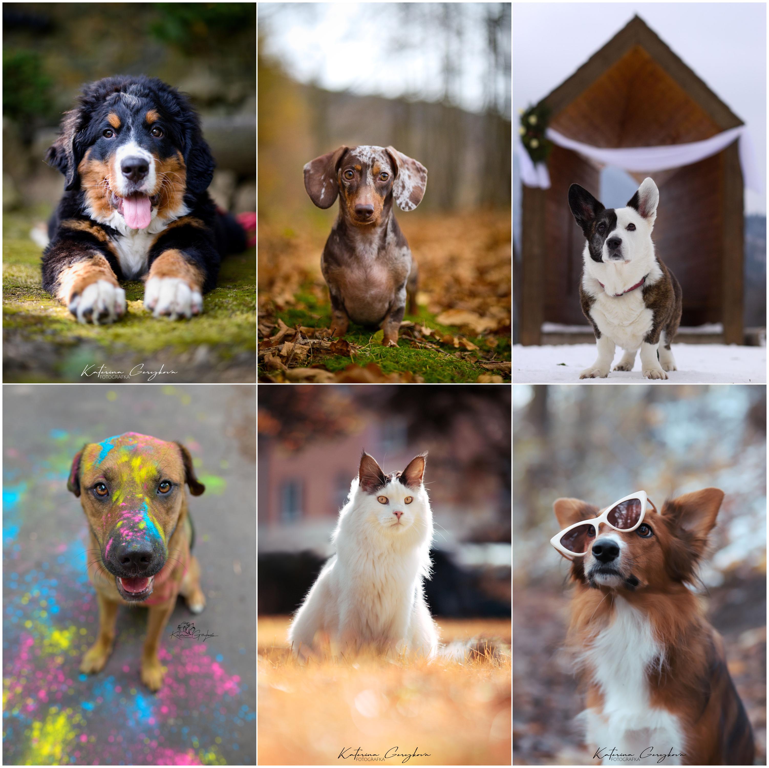 Kateřina Geryková - fotografka foto 1