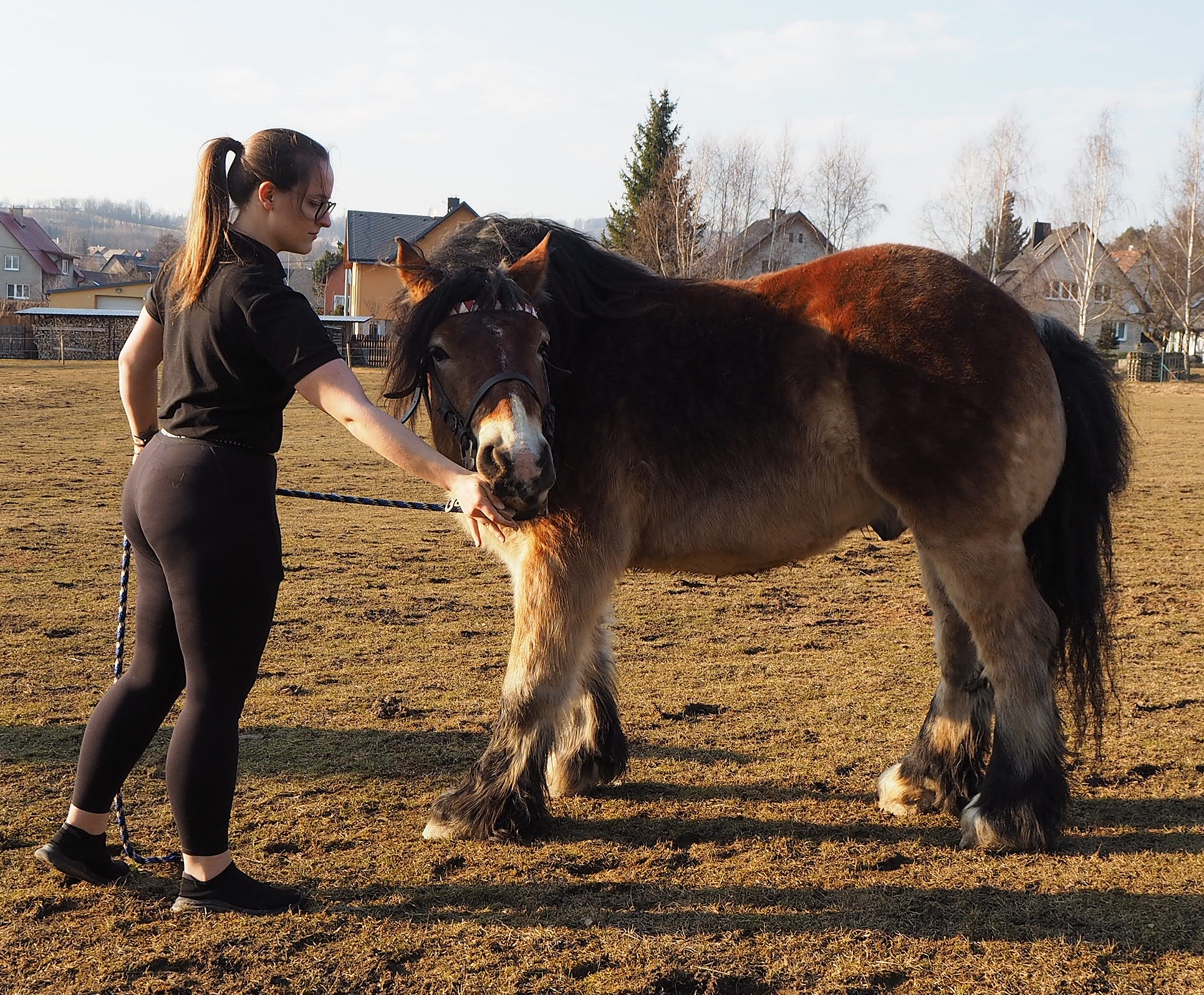 Equinea - fyzioterapie koní a psů foto 5