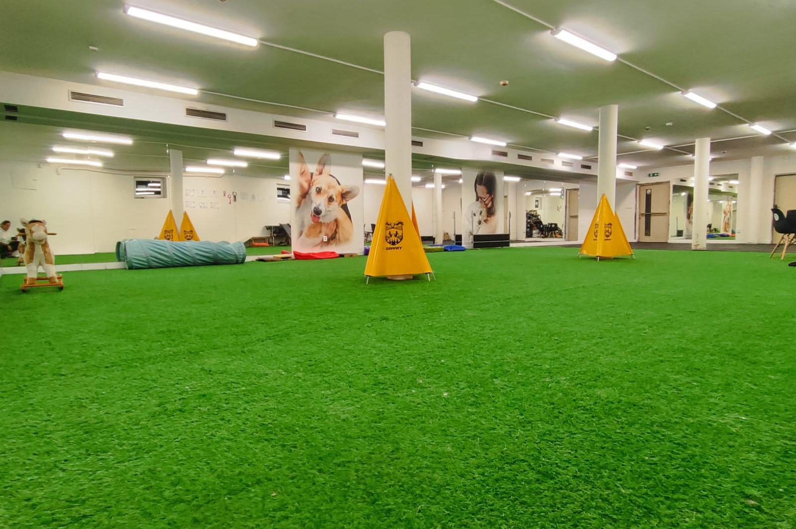 Škola výcviku psů K+K Houda