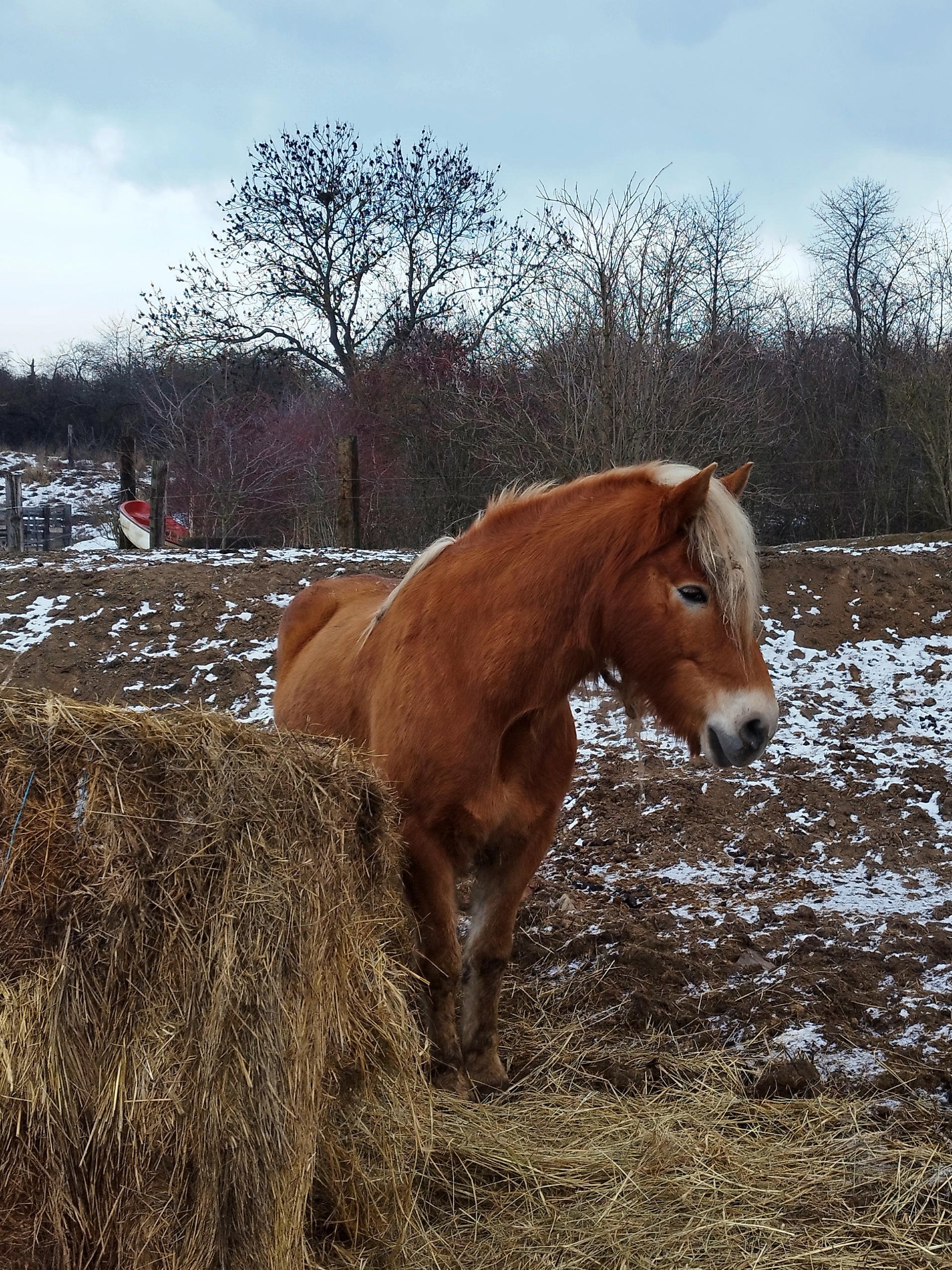Ranč Kozí vrch foto 4