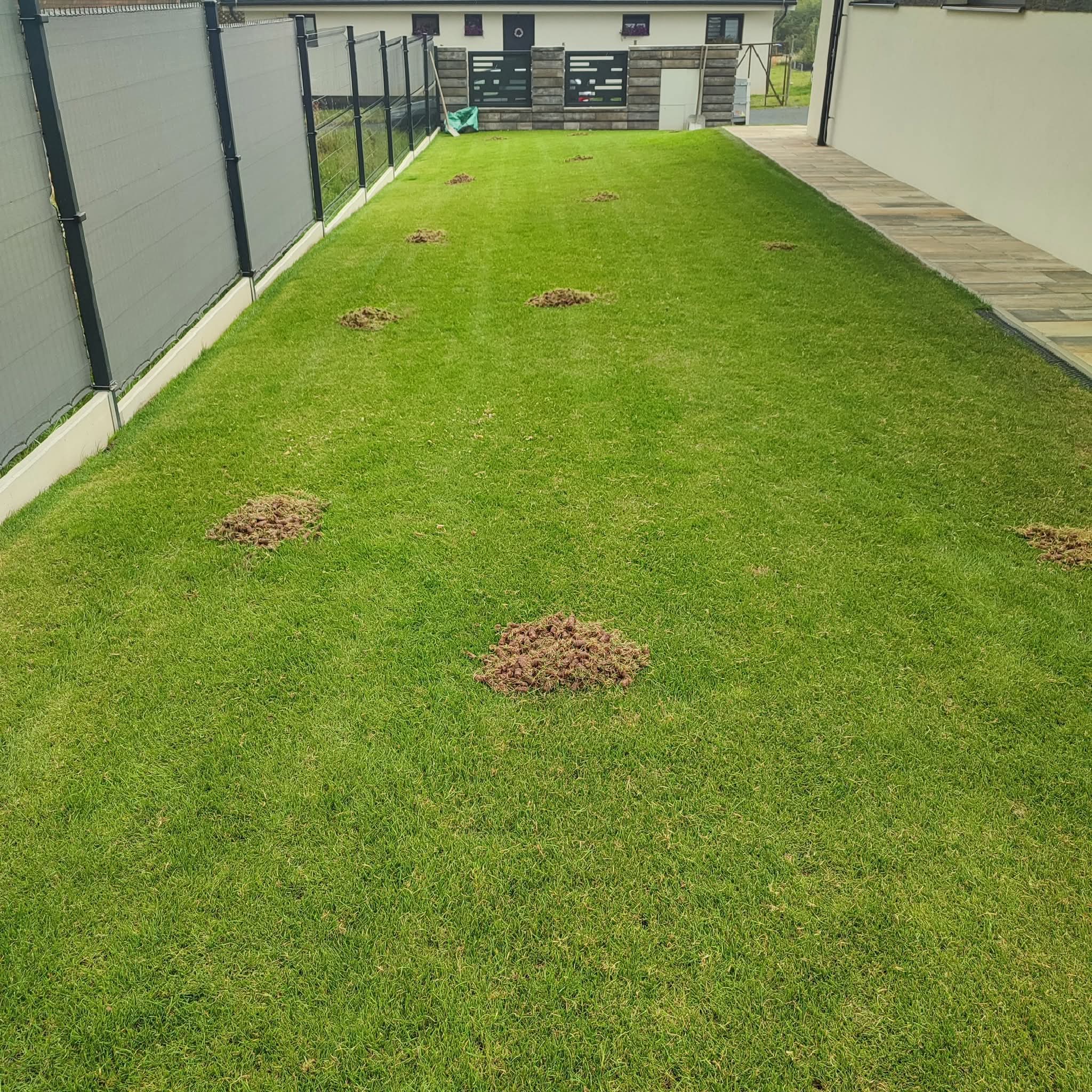 Pavel Vašek - VasekGarden foto 3