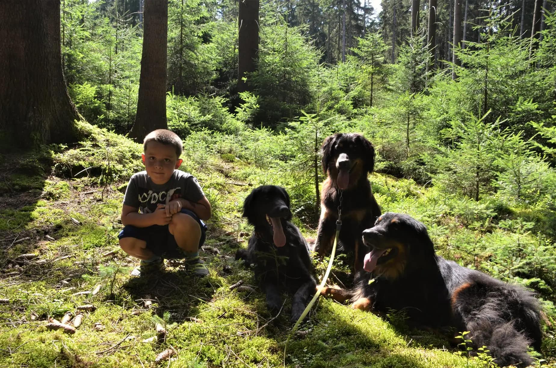 Hlídání a výcvik psů Kristýna Banertová foto 2