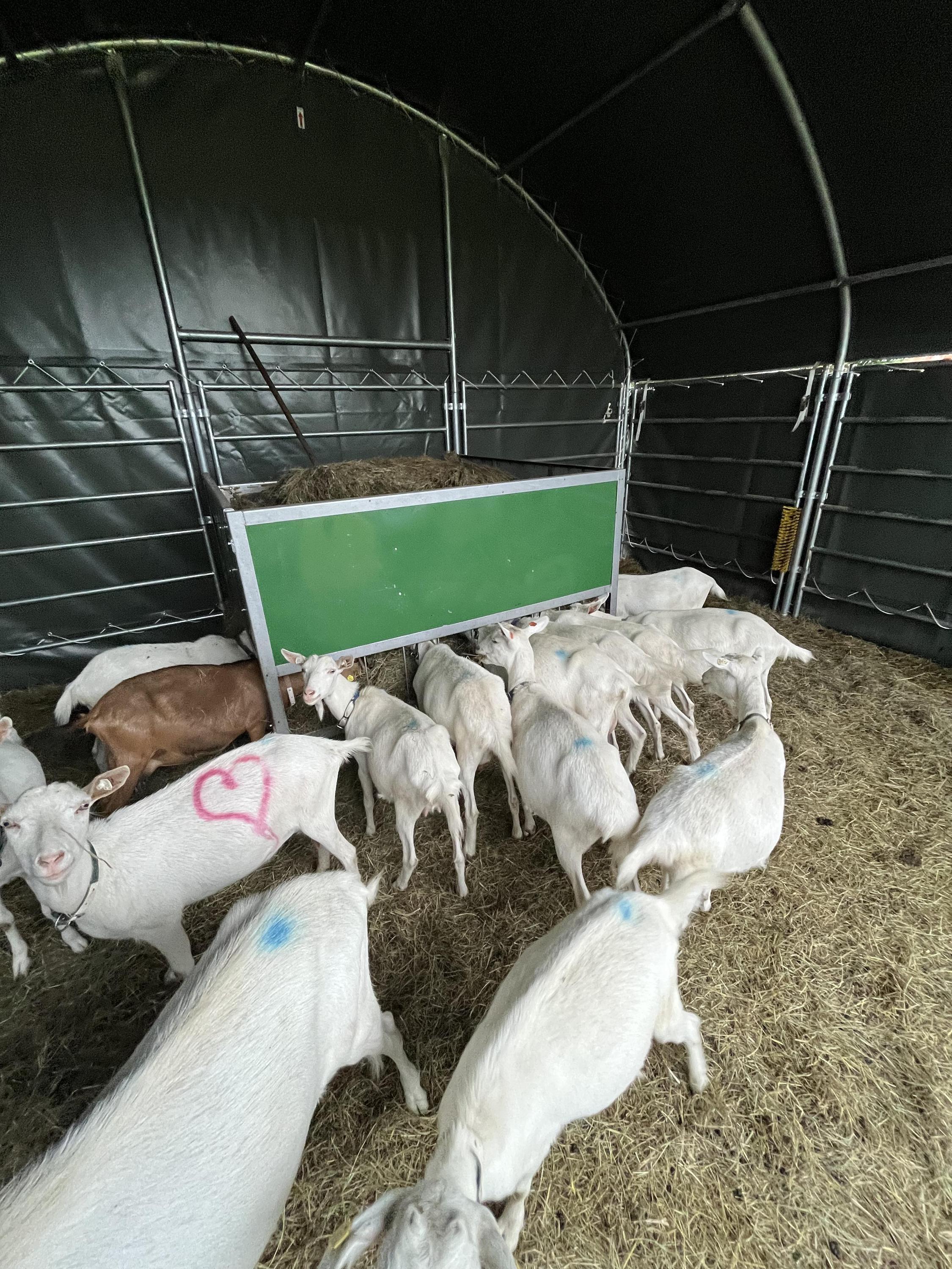 Rodinná BIO Farma U Jakuba foto 2