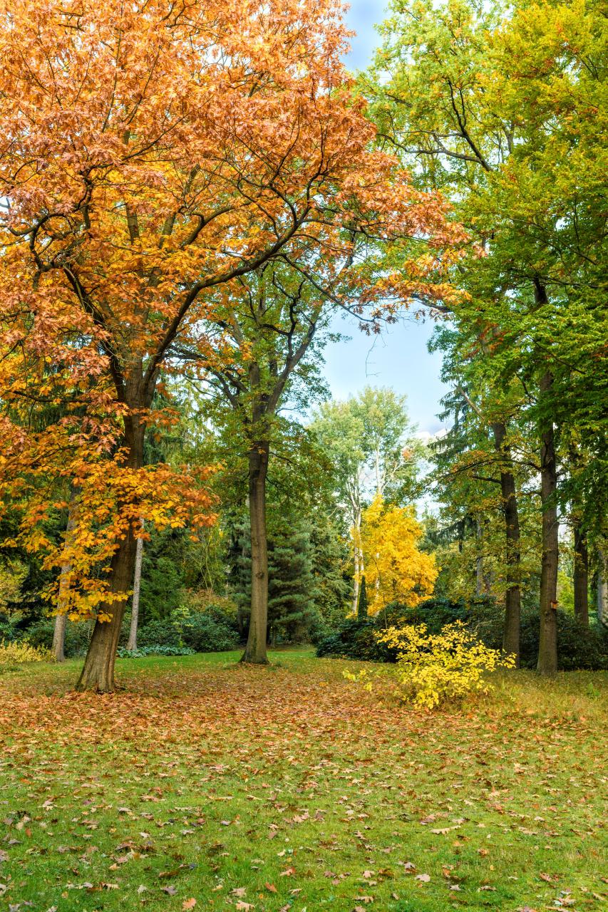 Dendrologická zahrada VÚK foto 6