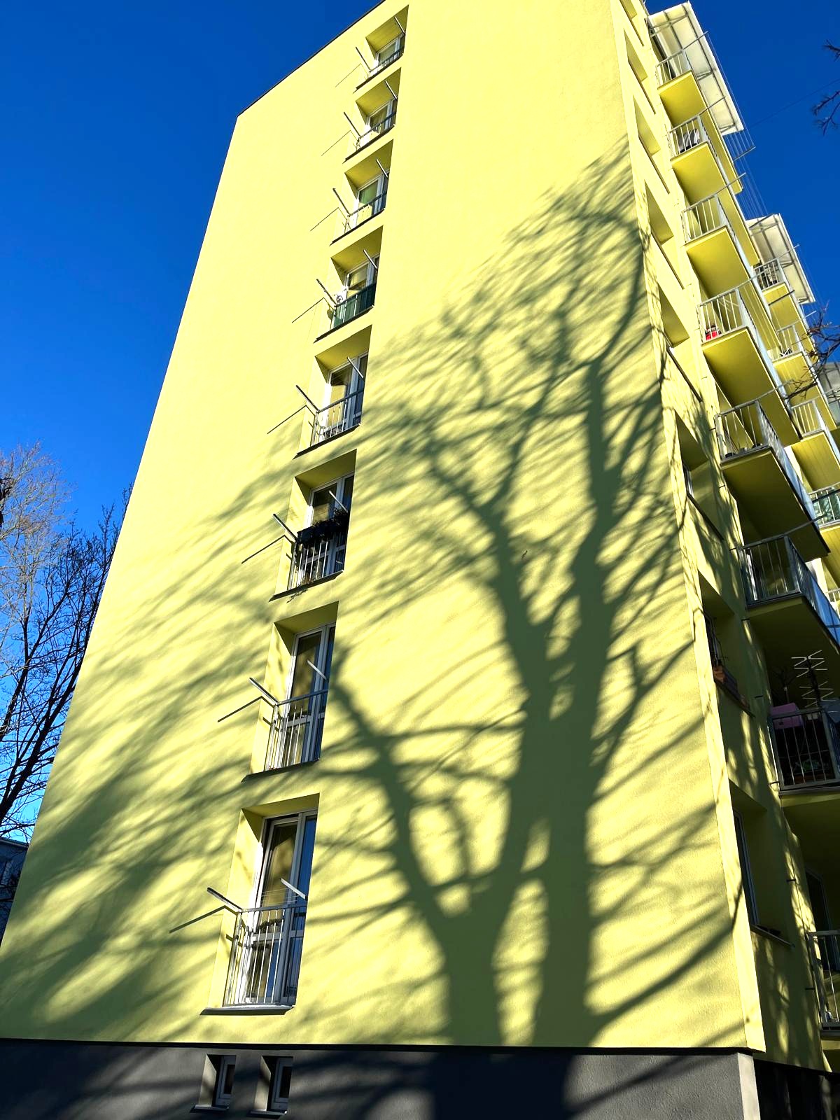 Baťha Ladislav - REMAX reality foto 3