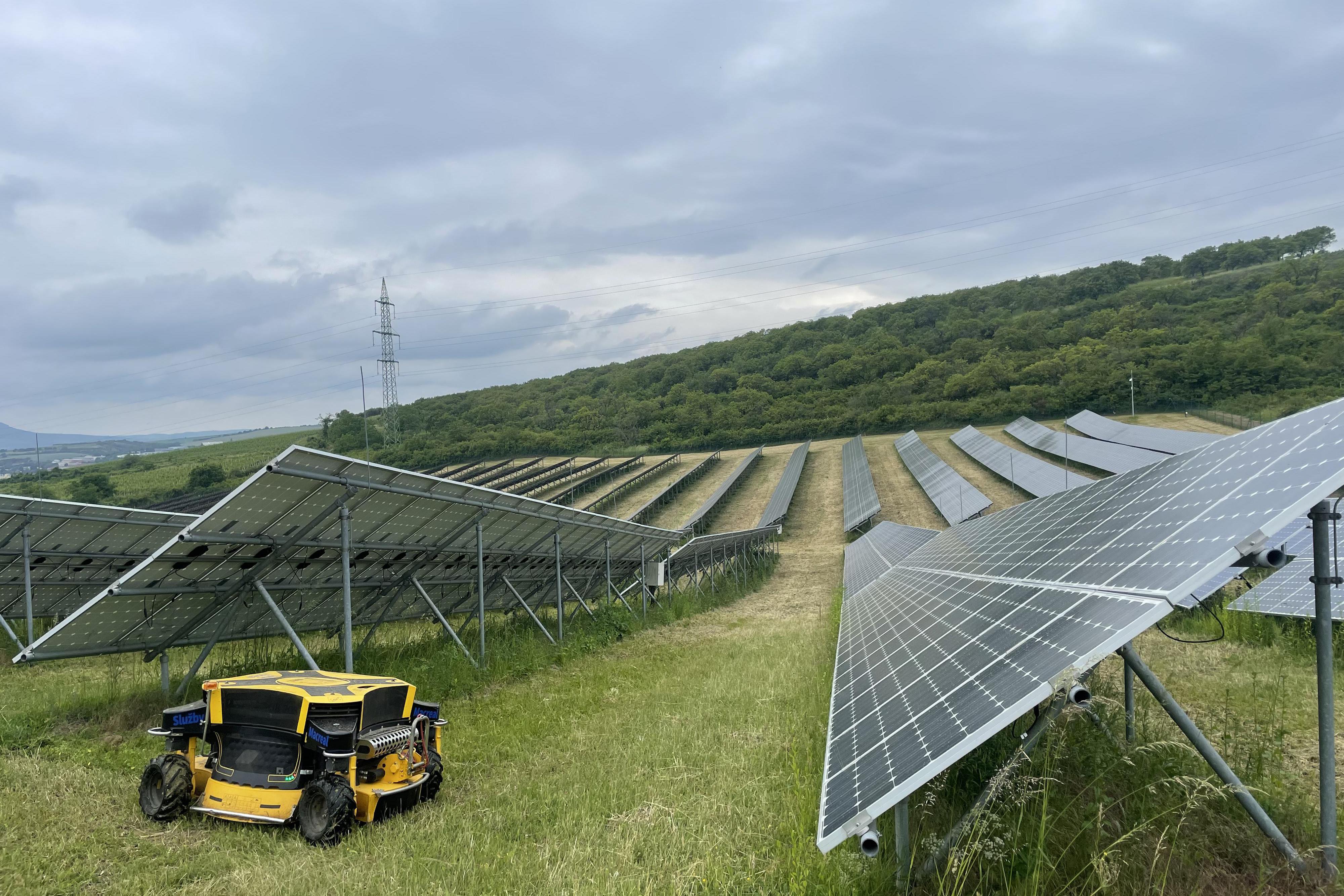 Sekání trávy, sekání pozemků, mulčování