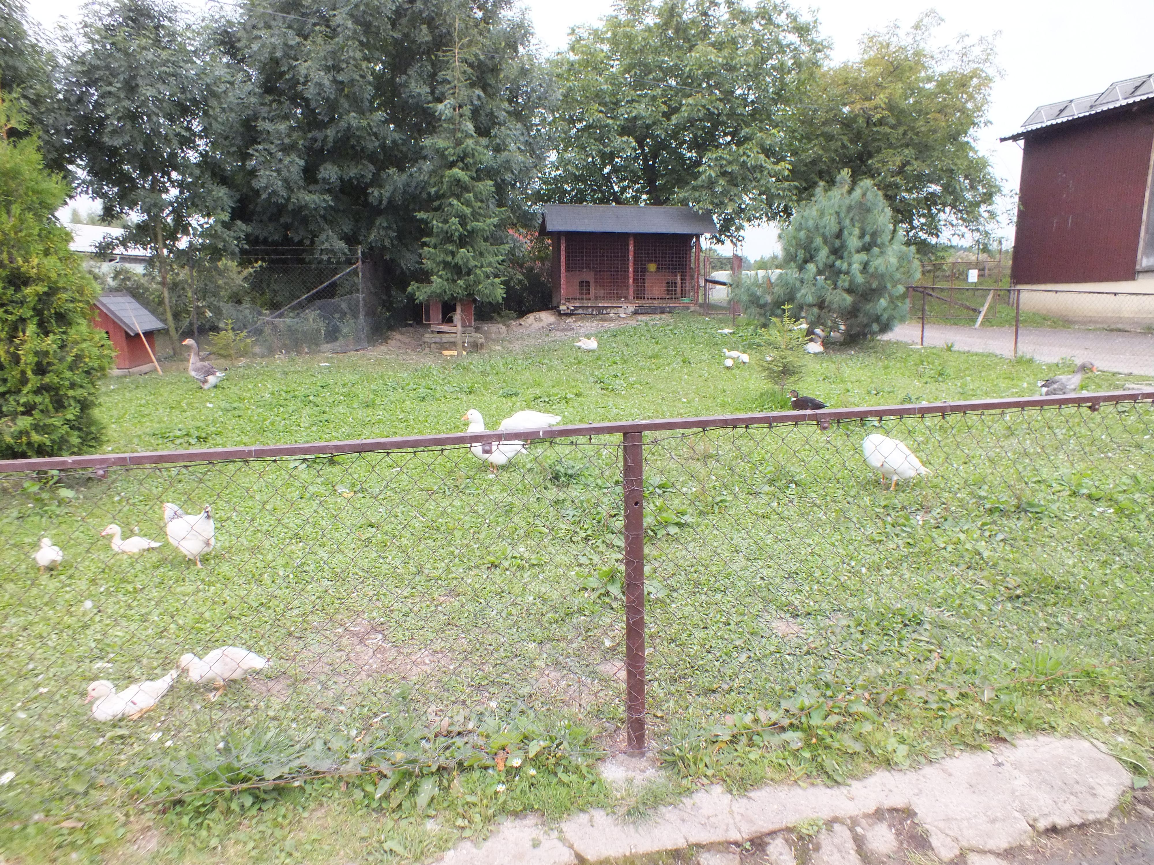 Zemědělské muzeum Pěnčín foto 6