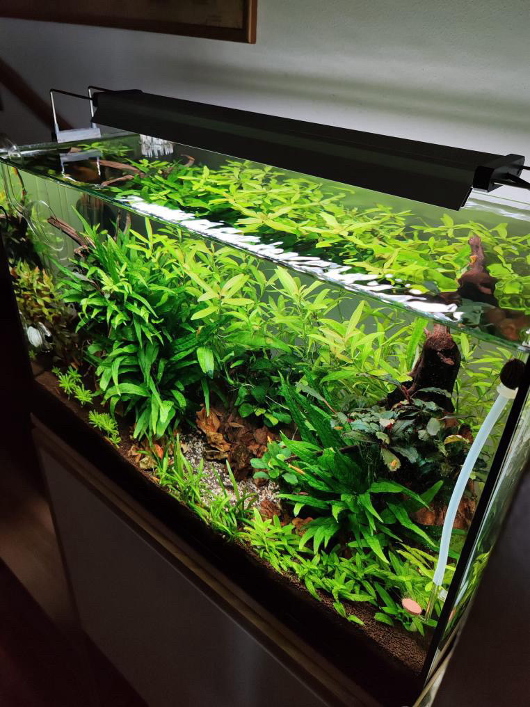 MarasAqua - servis a realizace akvárií foto 2