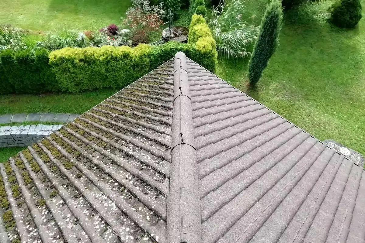 Profesionální čištění střech Jižní Čechy