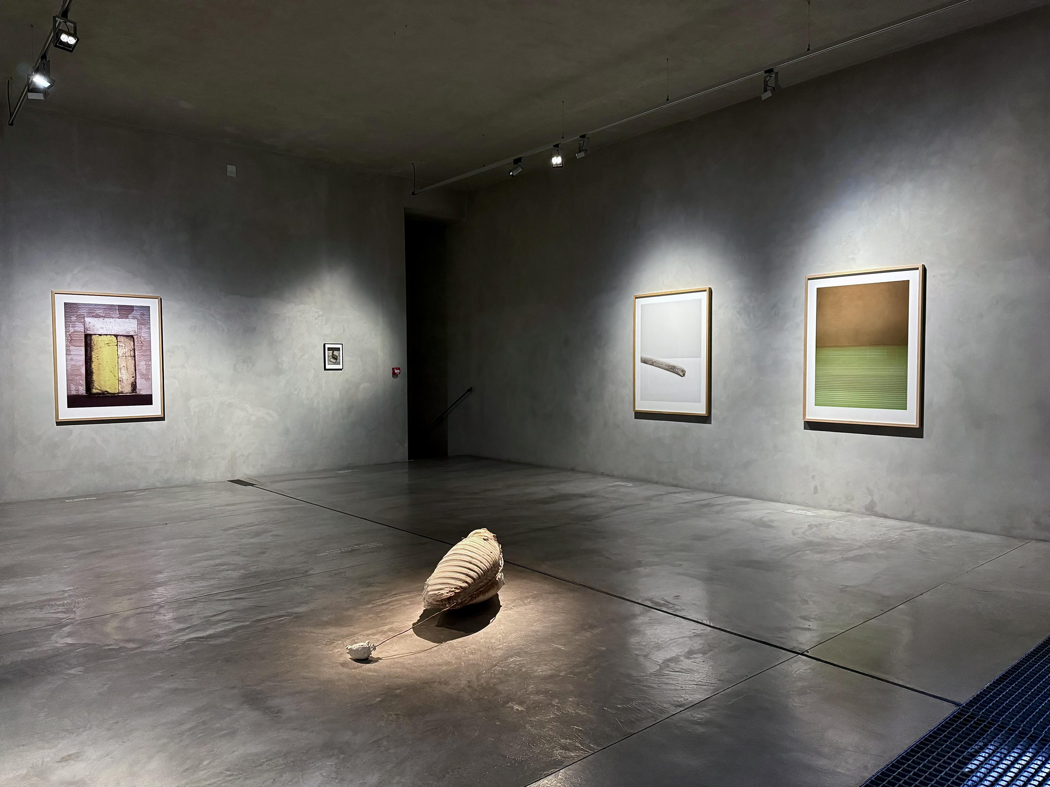 Galerie Benedikta Rejta foto 5