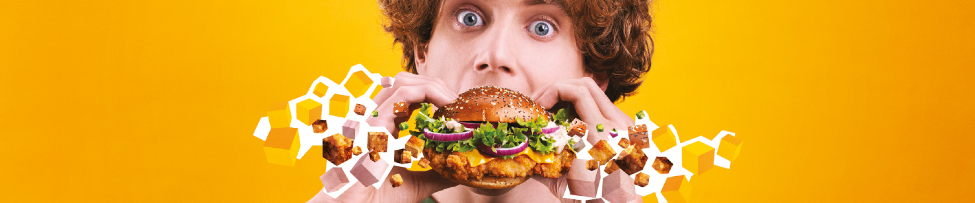 Úvodní obrázek McDonald's