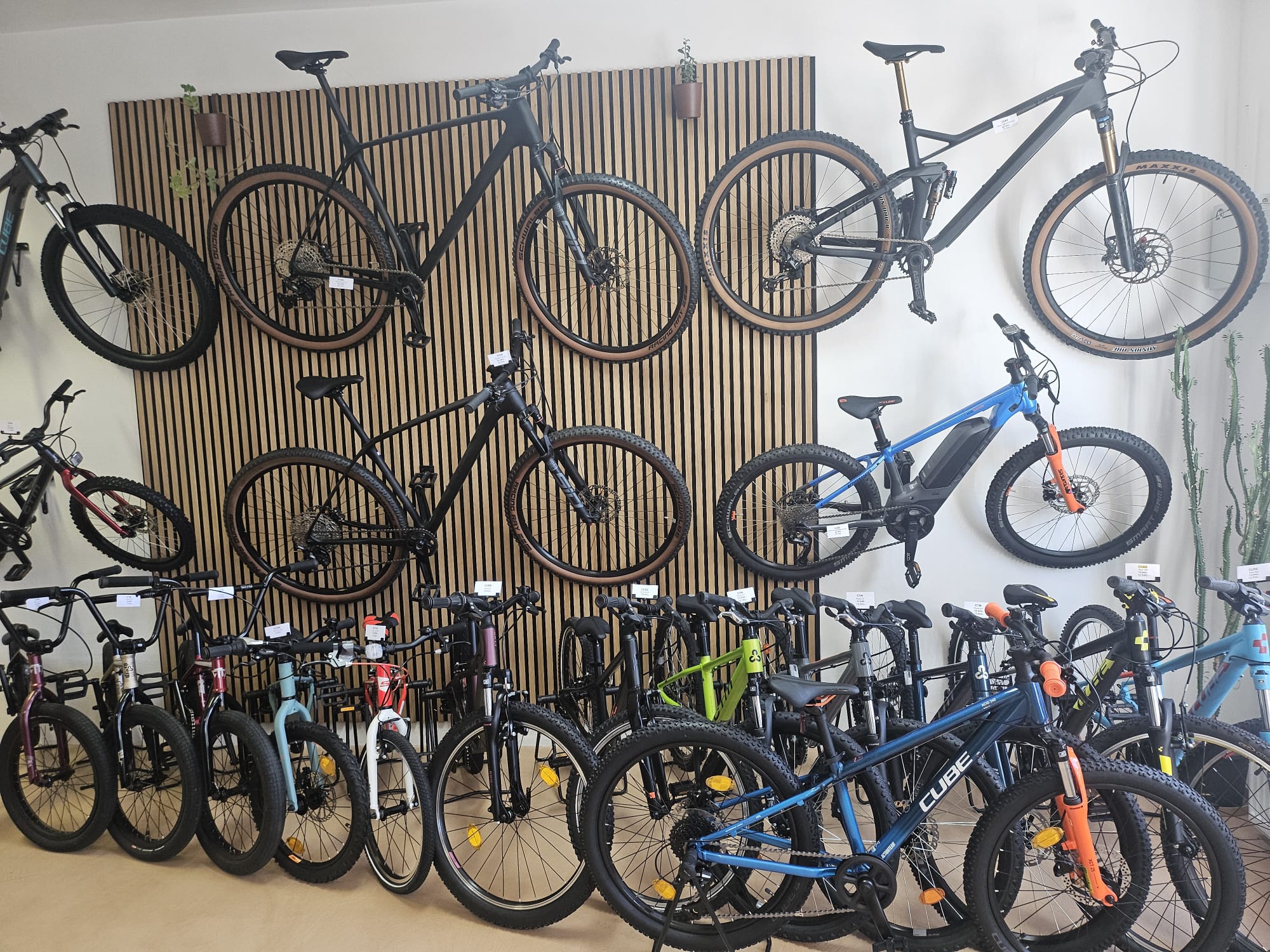 X LIVE - prodej a servis jízdních kol a elektrokol CUBE foto 2