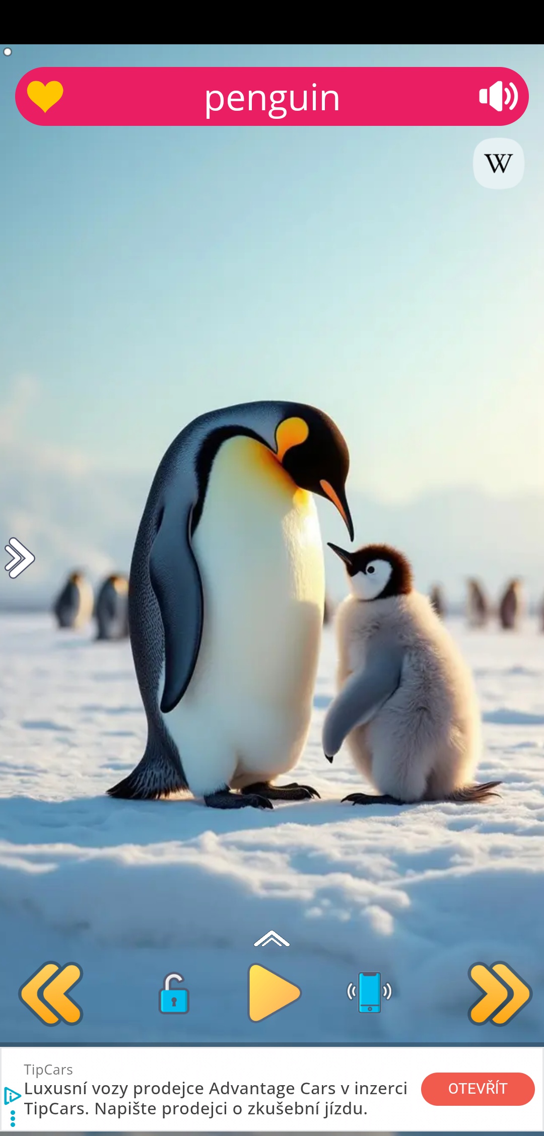 Restaurace Praha foto 3