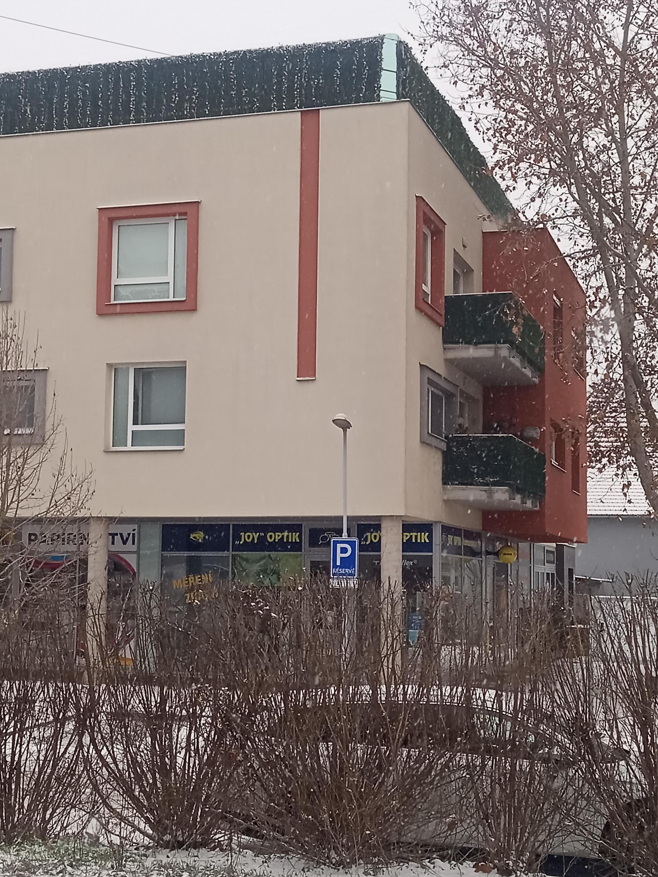 JOY OPTIK - Olga Šedivá foto 6