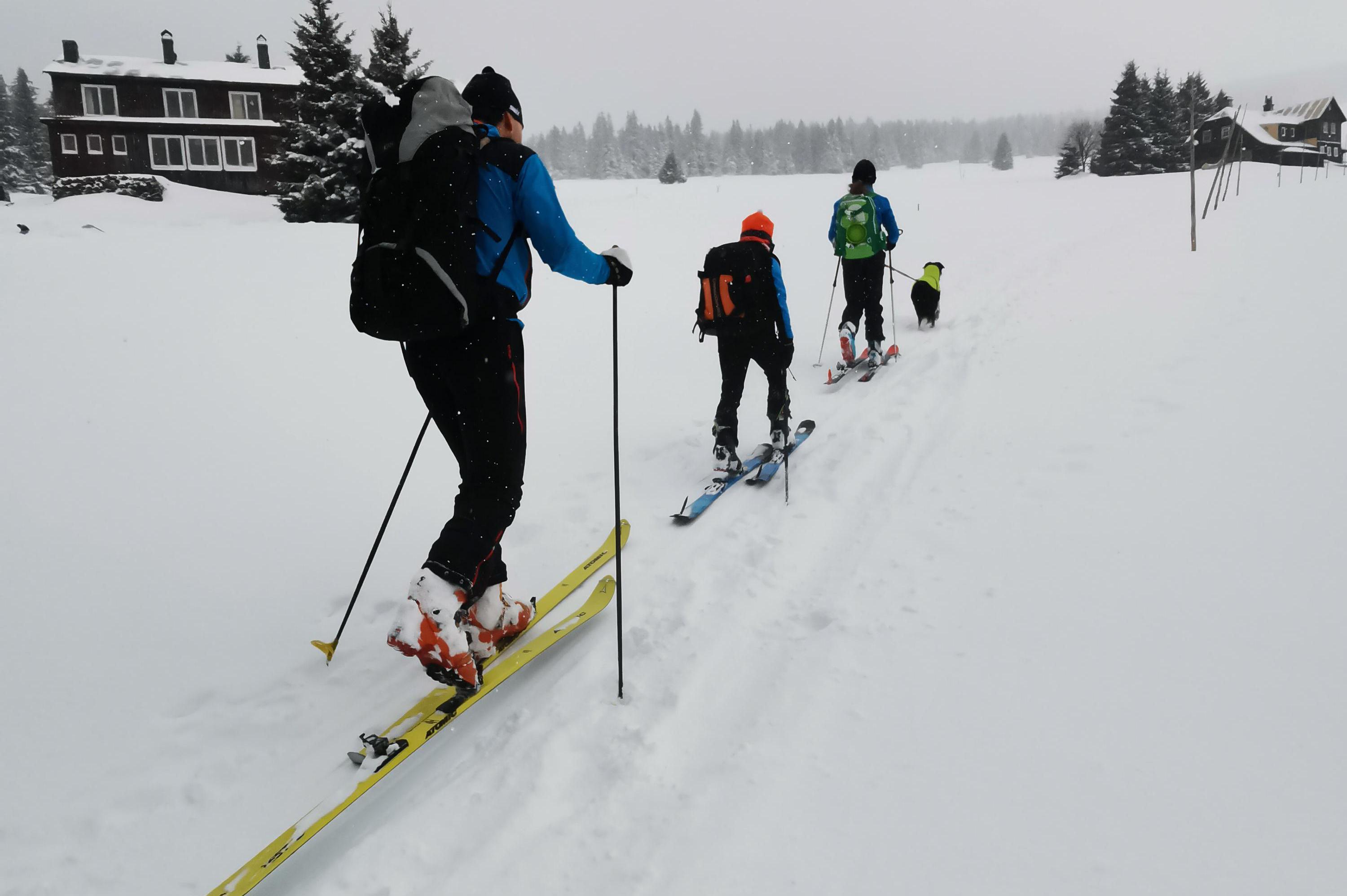 Půjčovna skialpů, lyží, běžek, snowboardů, bruslí.