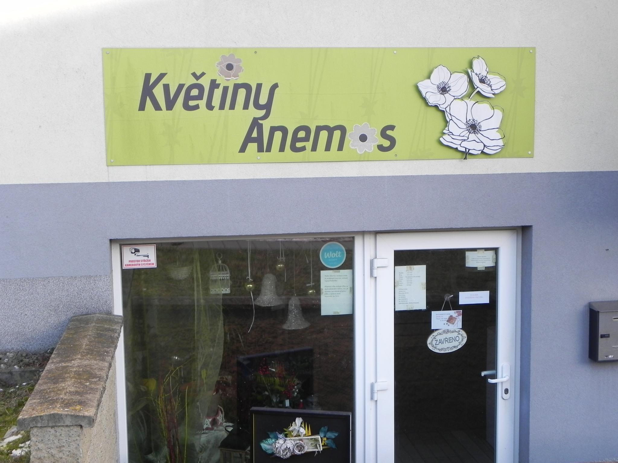 Květiny Anemos foto 4