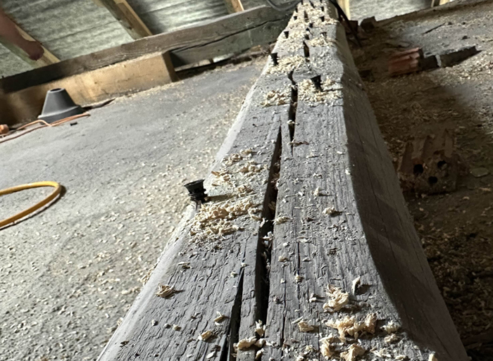 Ochrana-dreva.cz foto 5