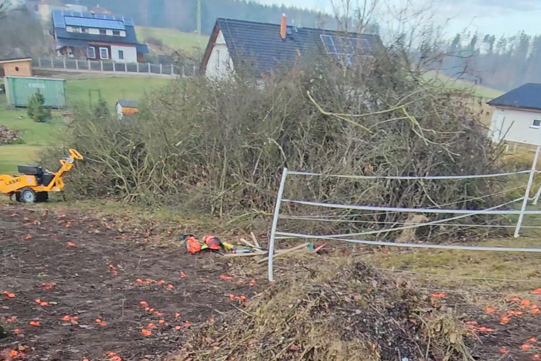 Likvidace náletové dřeviny, keřů, větví