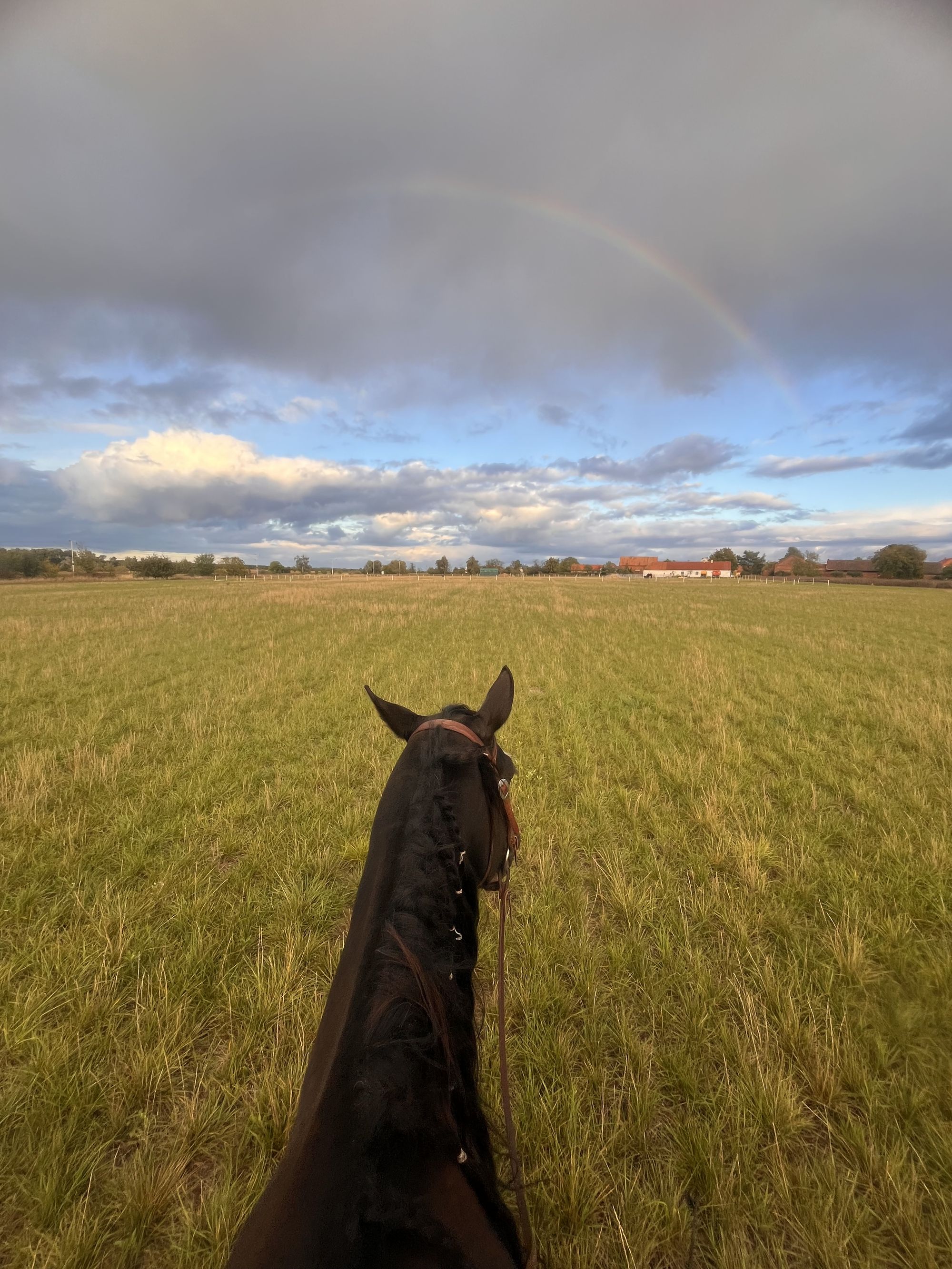 Ranch Stará Voda foto 2