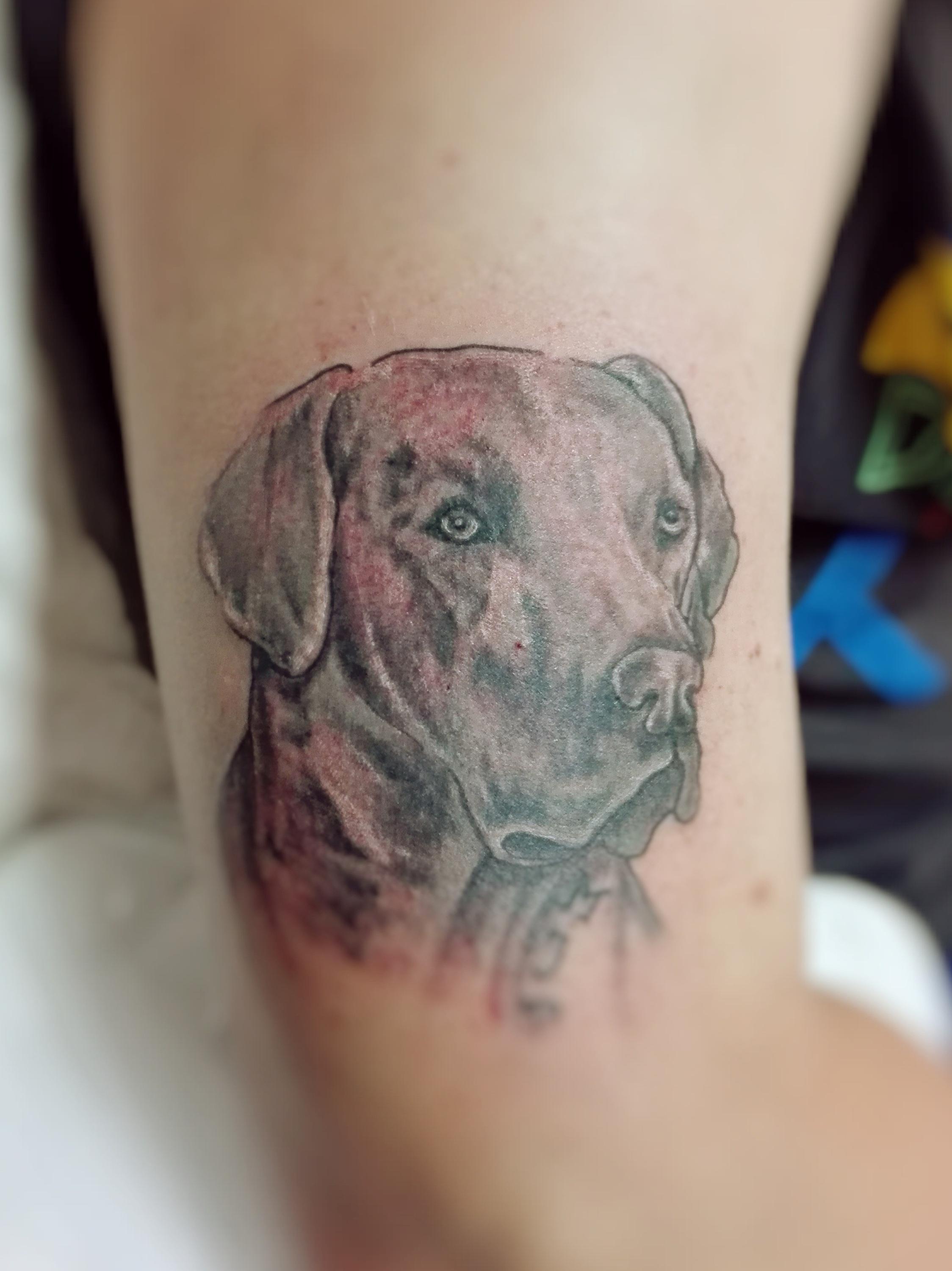 Tetování různých motivů