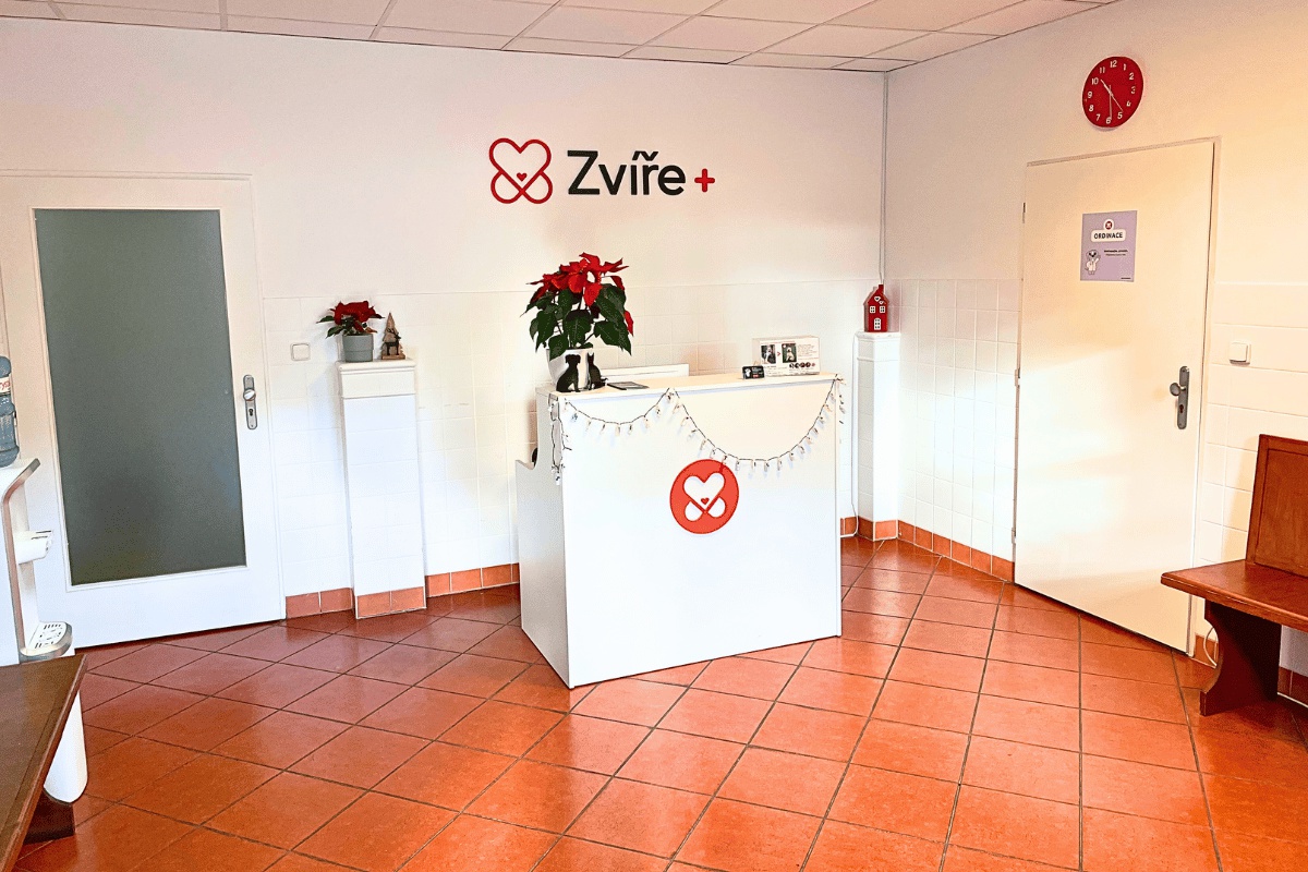 Veterinární klinika Zvíře+ foto 4
