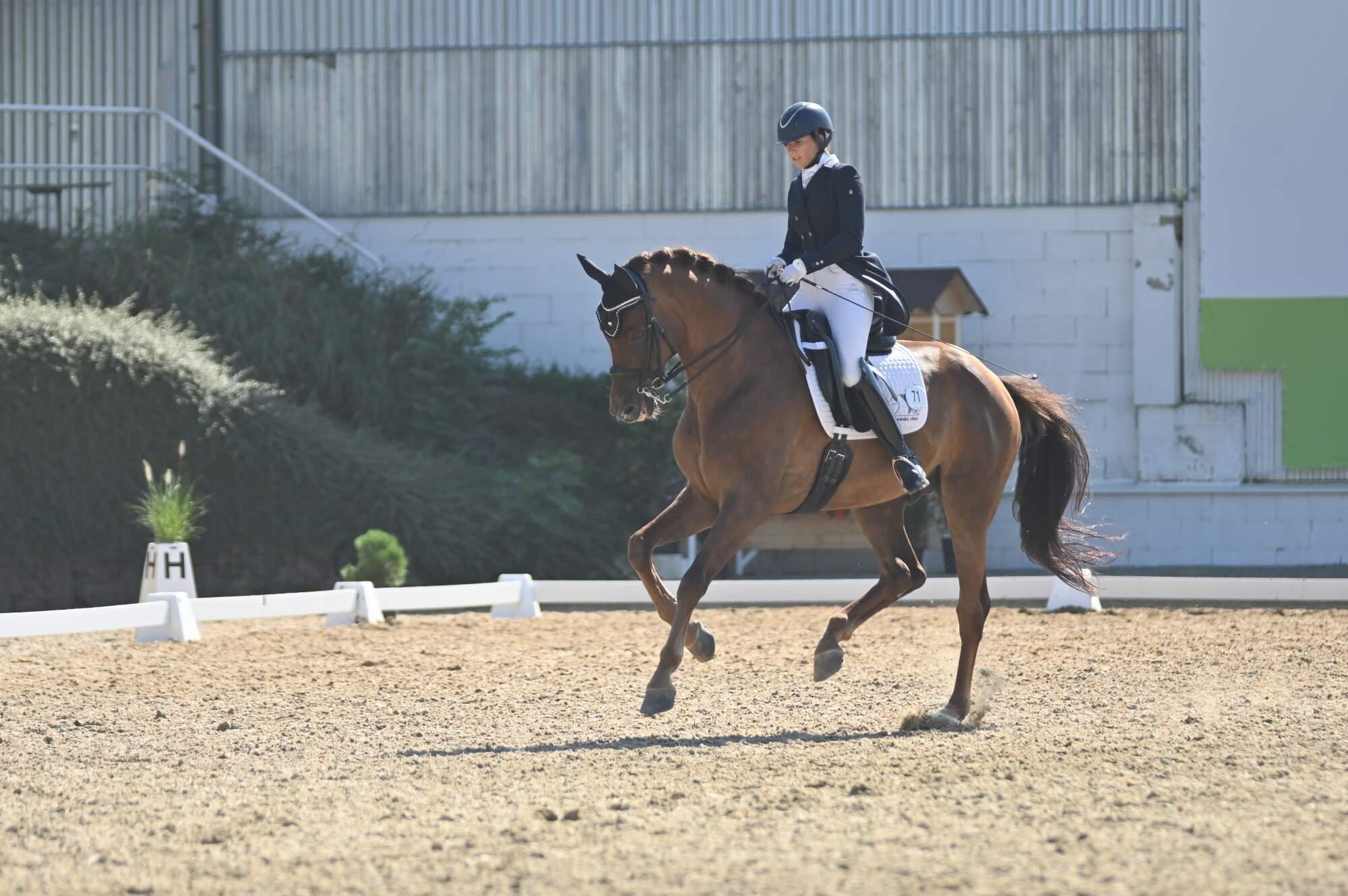 Jezdecký klub Poštorná