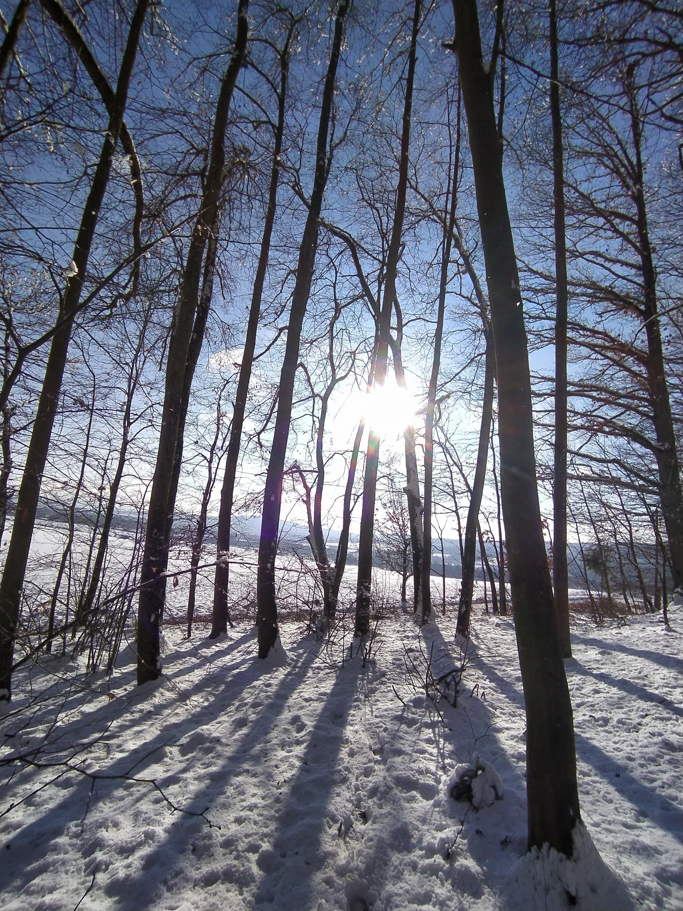 Valerie Dvořáková Lacinová - Realitní makléř foto 4