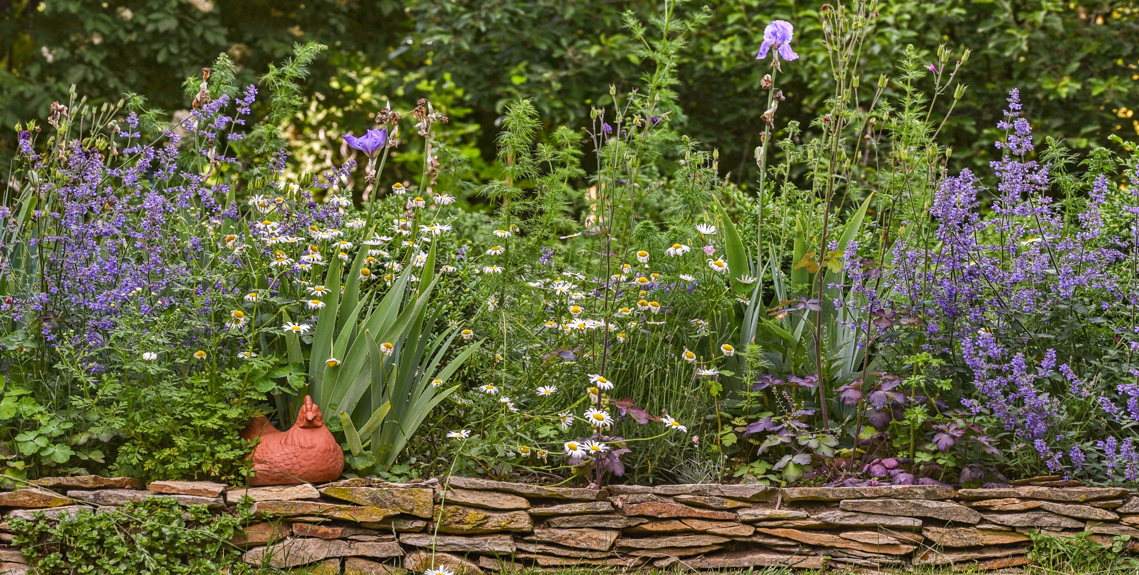 Sylva Velcová -  Kreativní zahrady foto 2