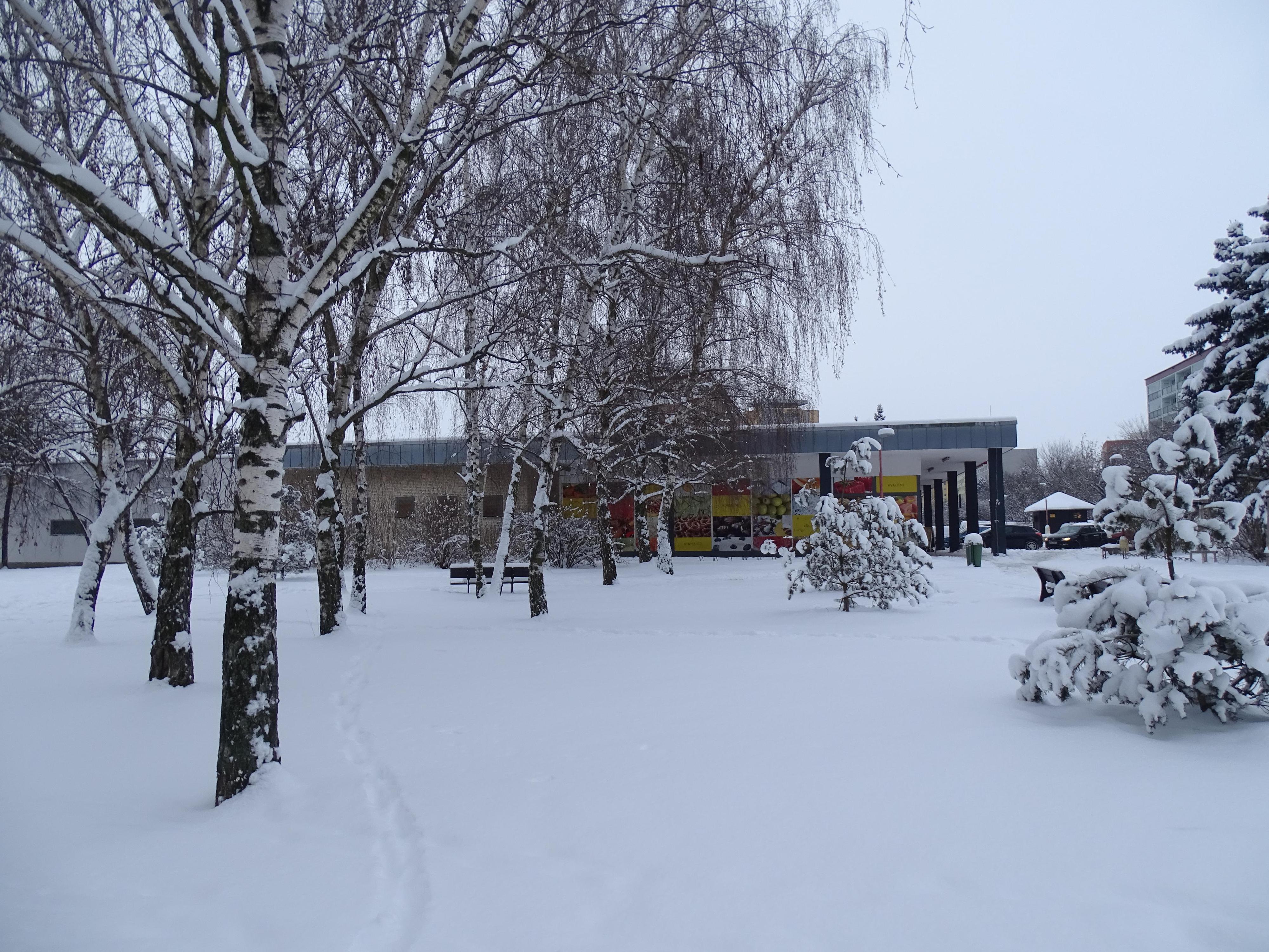 BILLA foto 4